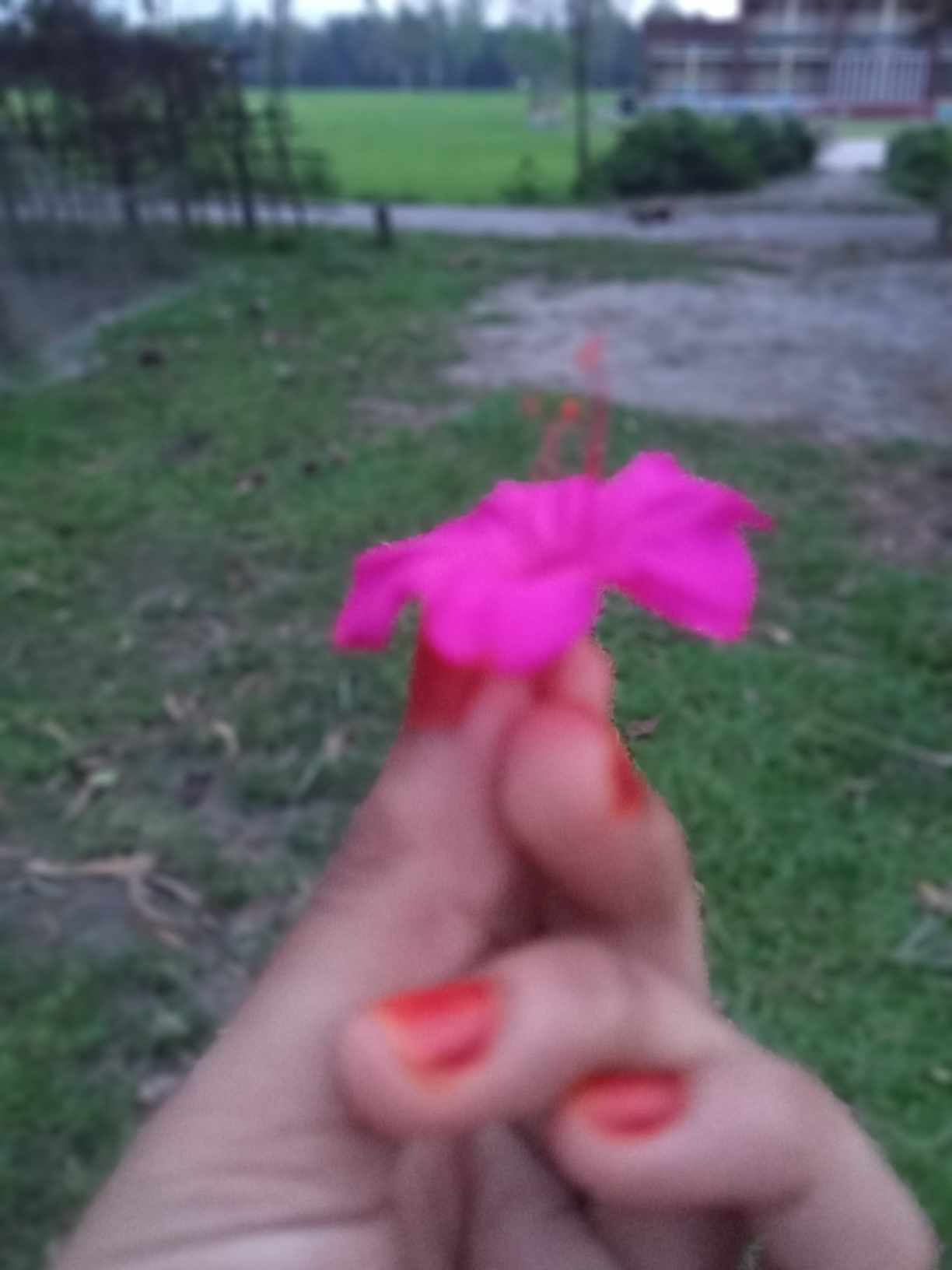 received_1376895516590722.jpeg