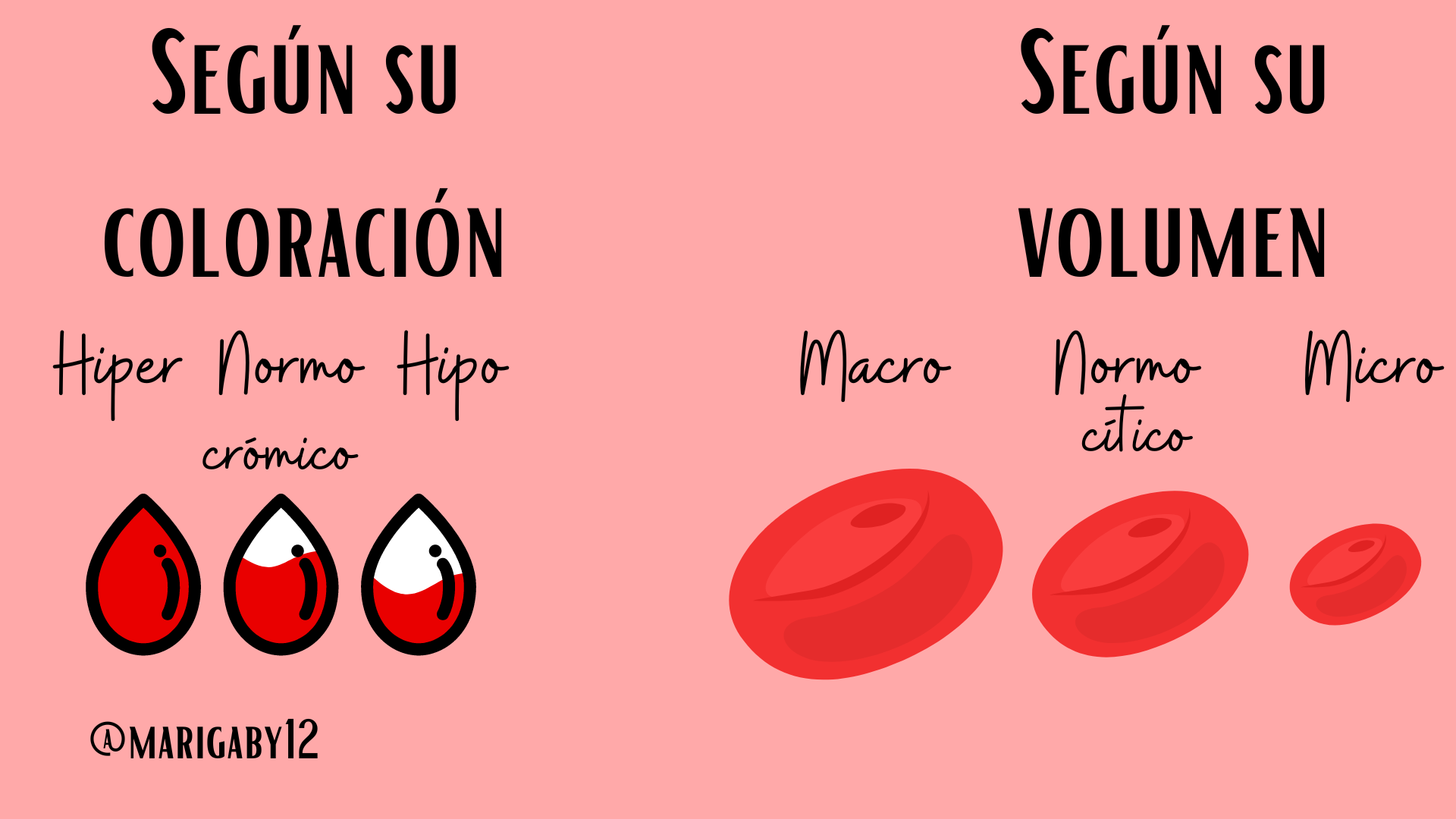 Anemias morfológicas (Fondo de pantalla) (1).png