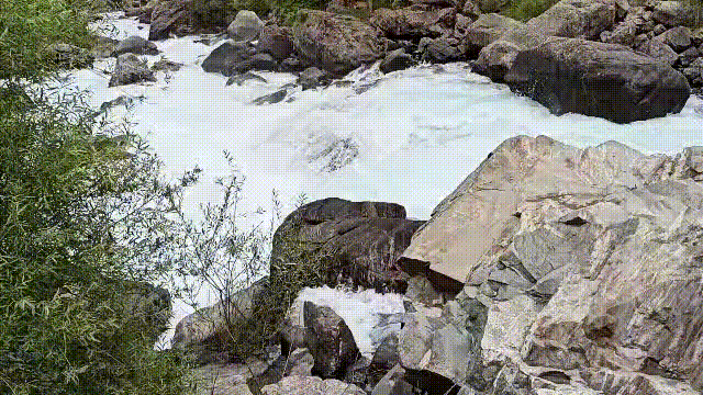 VID-20240501-WA0016_1_.gif
