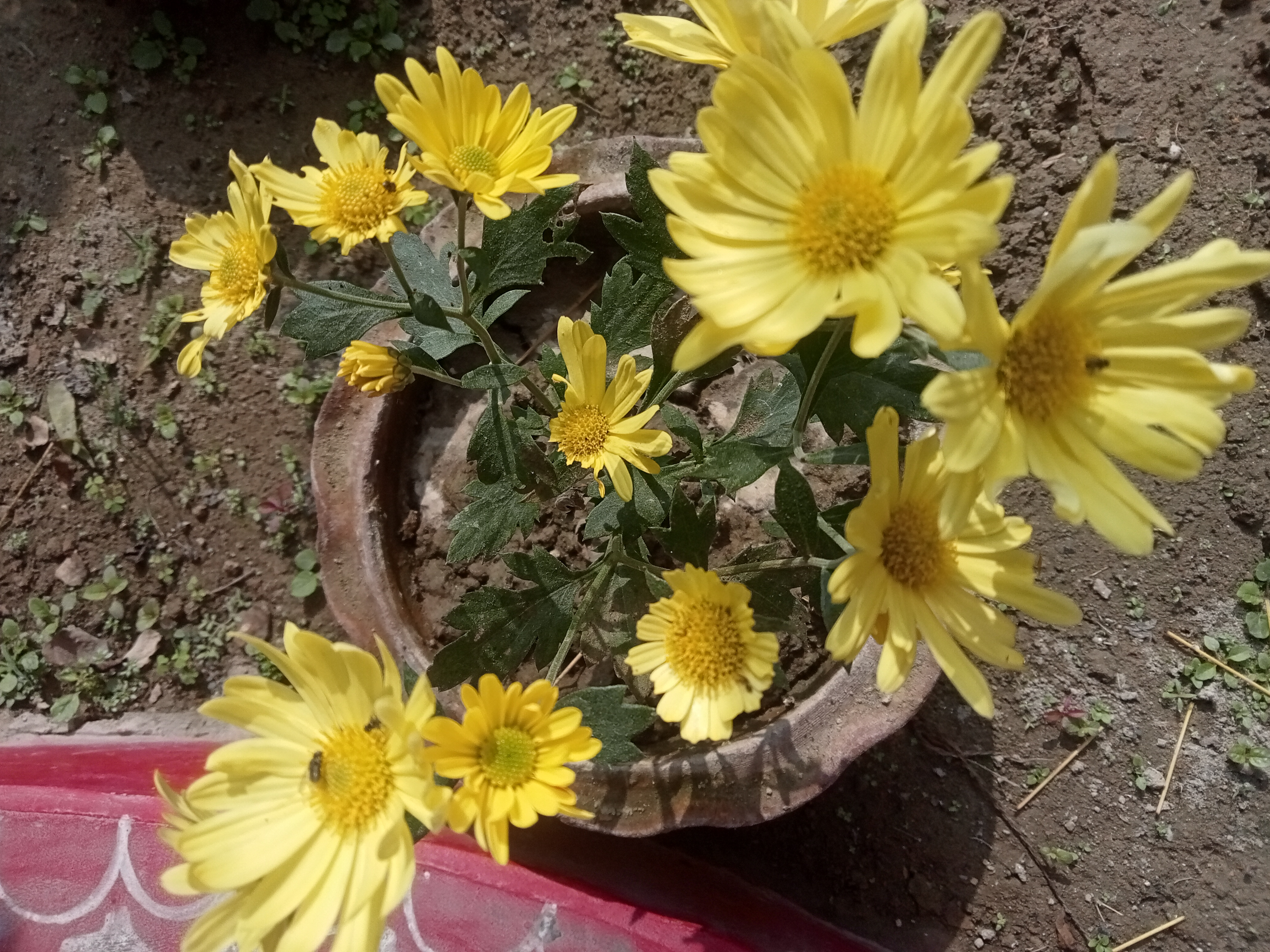 IMG20251231113229.jpg