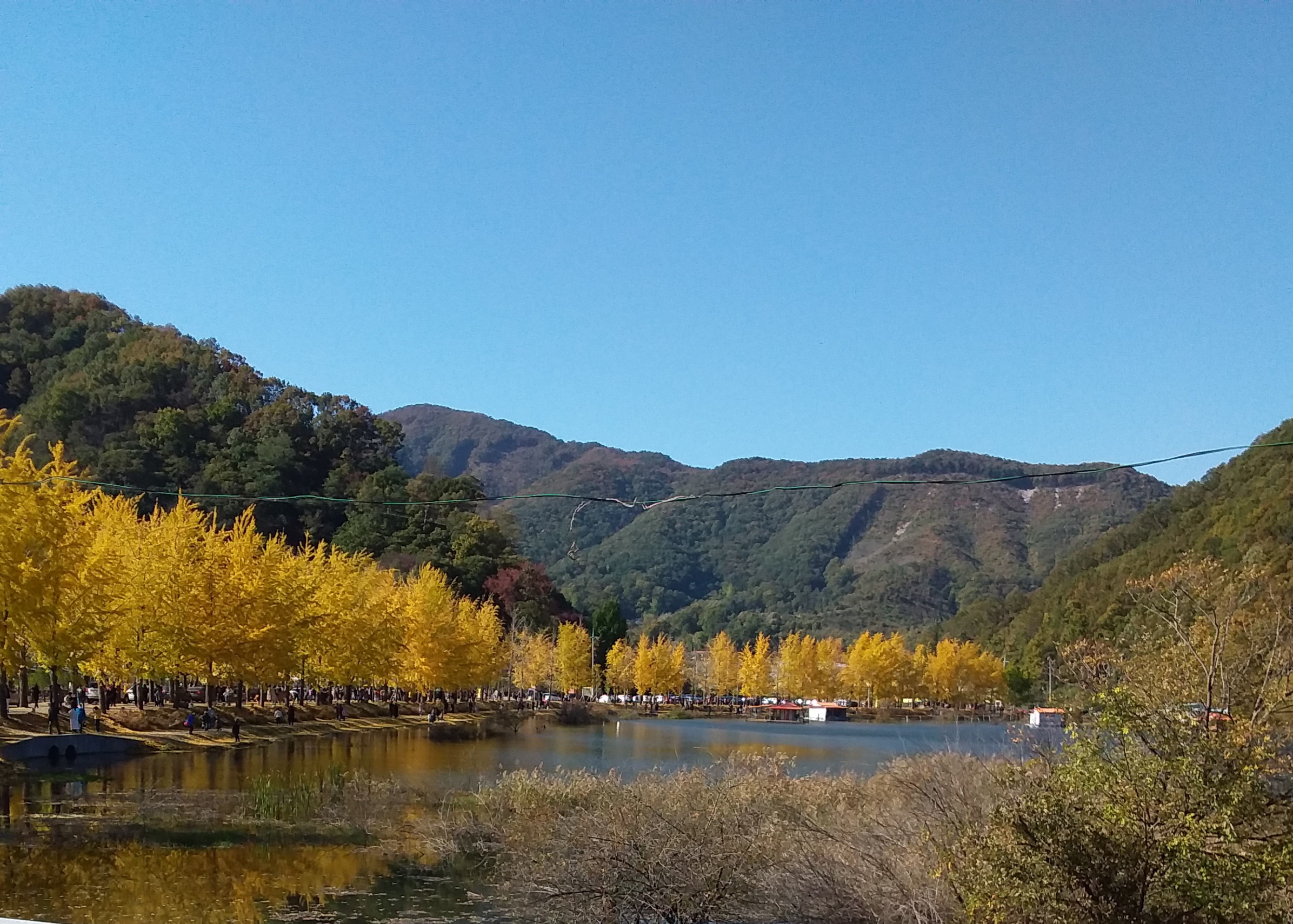 20201126_164822.jpg