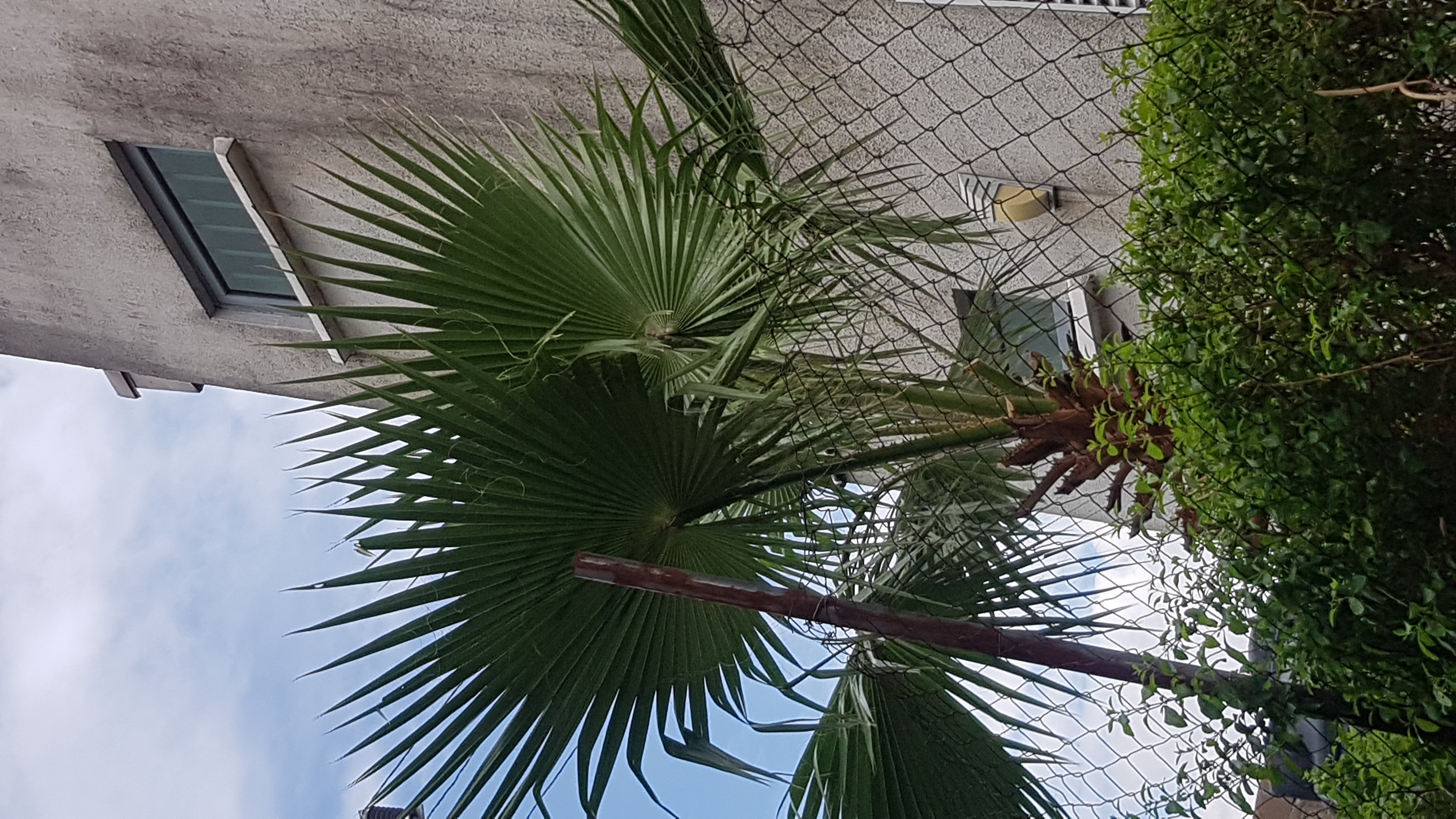 20251115_114347.jpg