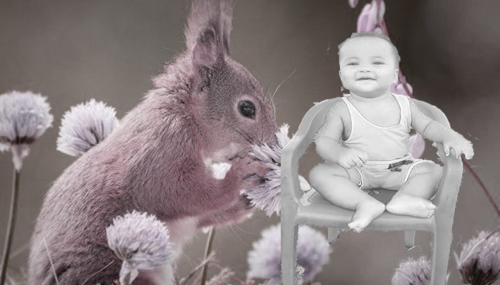 baby 6.jpg
