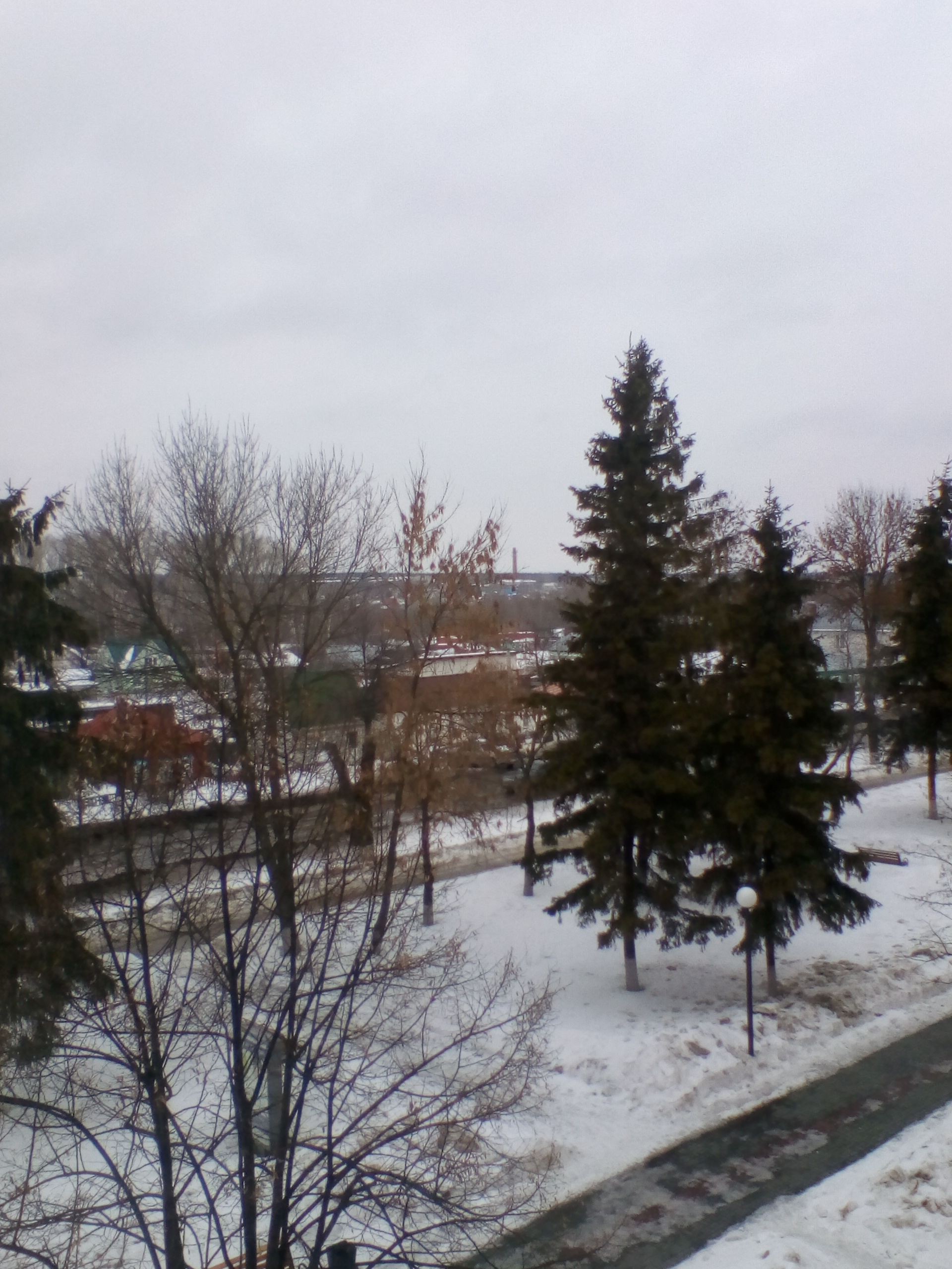 IMG_20190308_132838.jpg