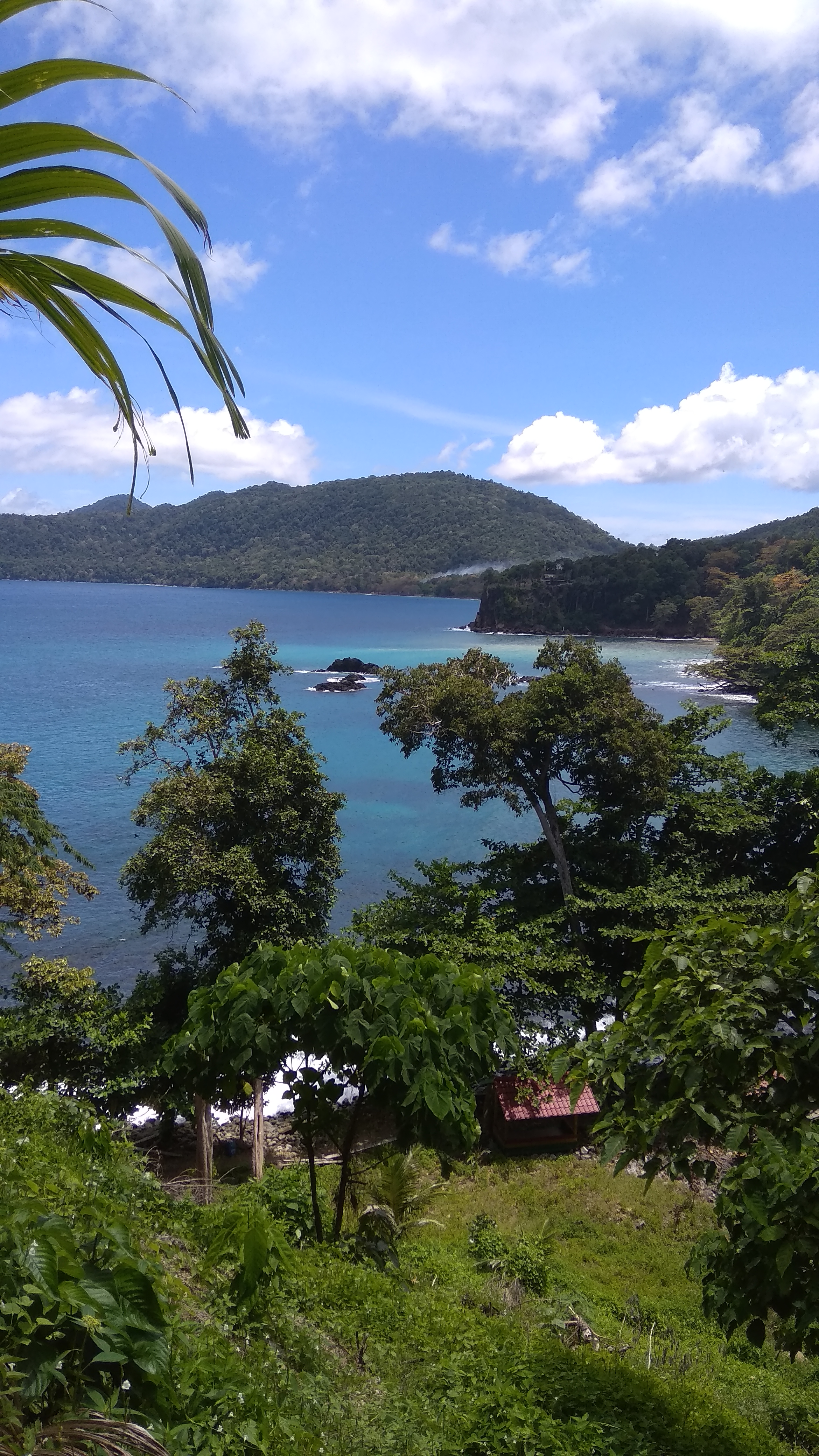 IMG_20190504_115136.jpg