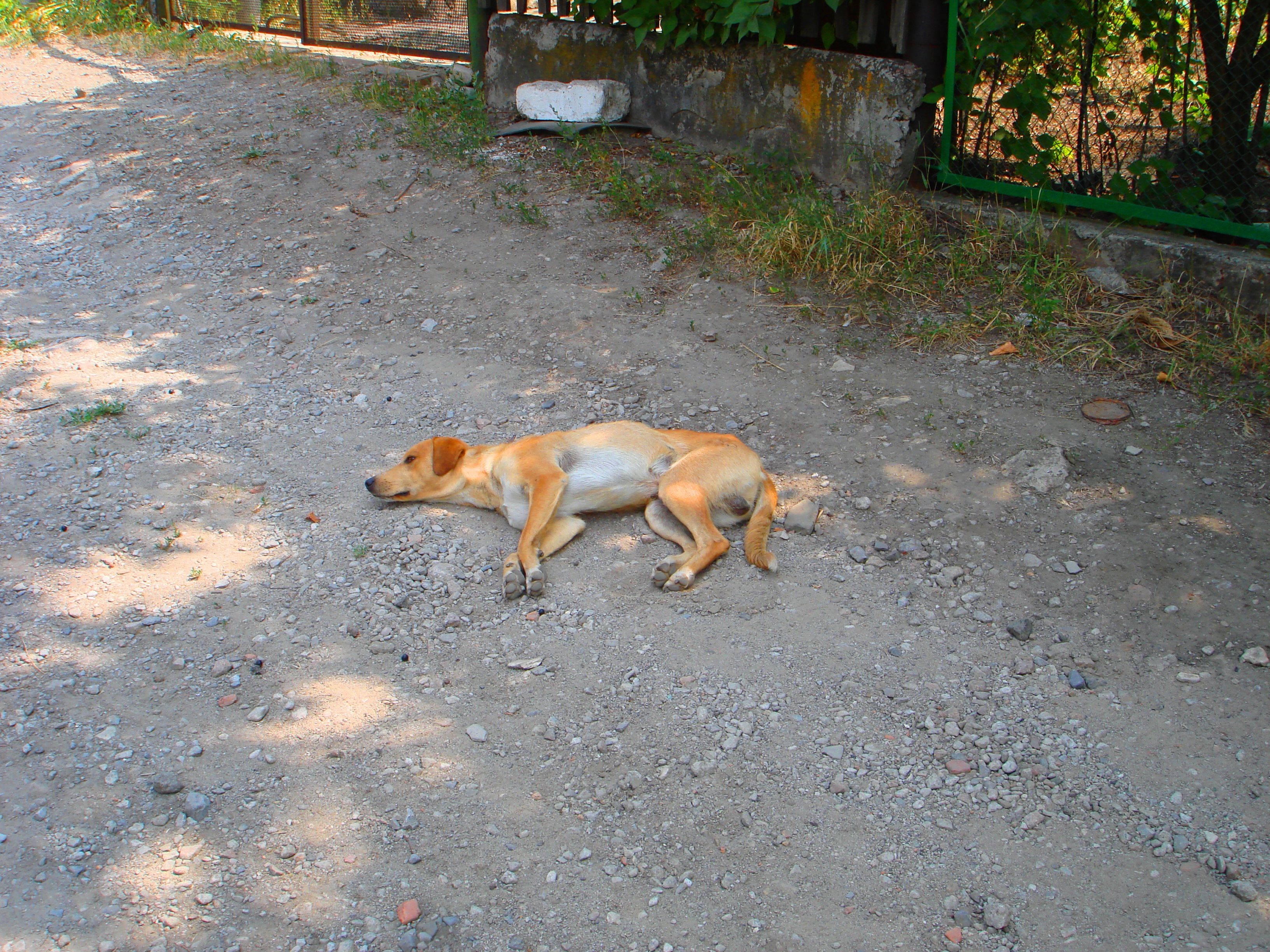 DSC01742-222222.jpg