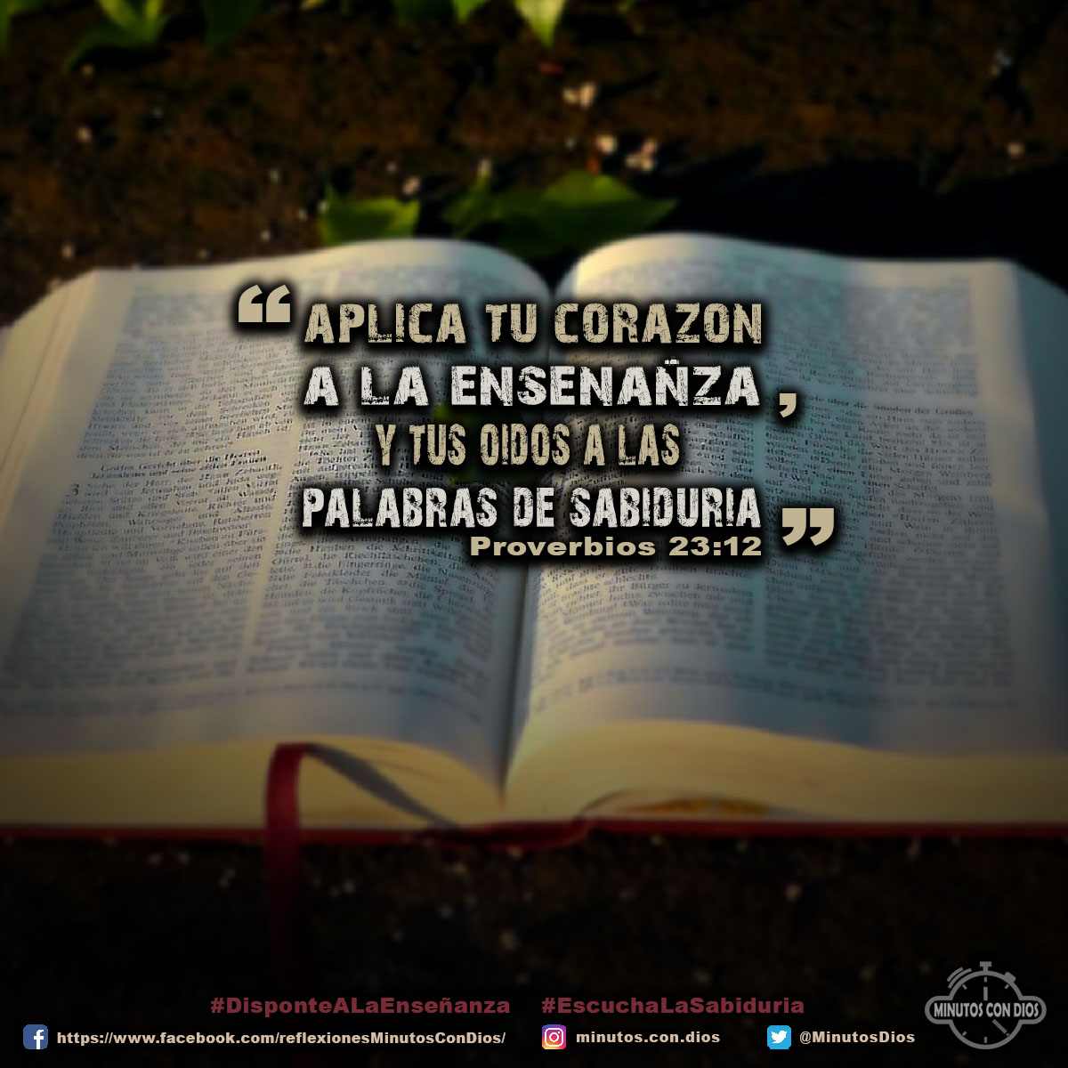 Proverbios23-12.jpg