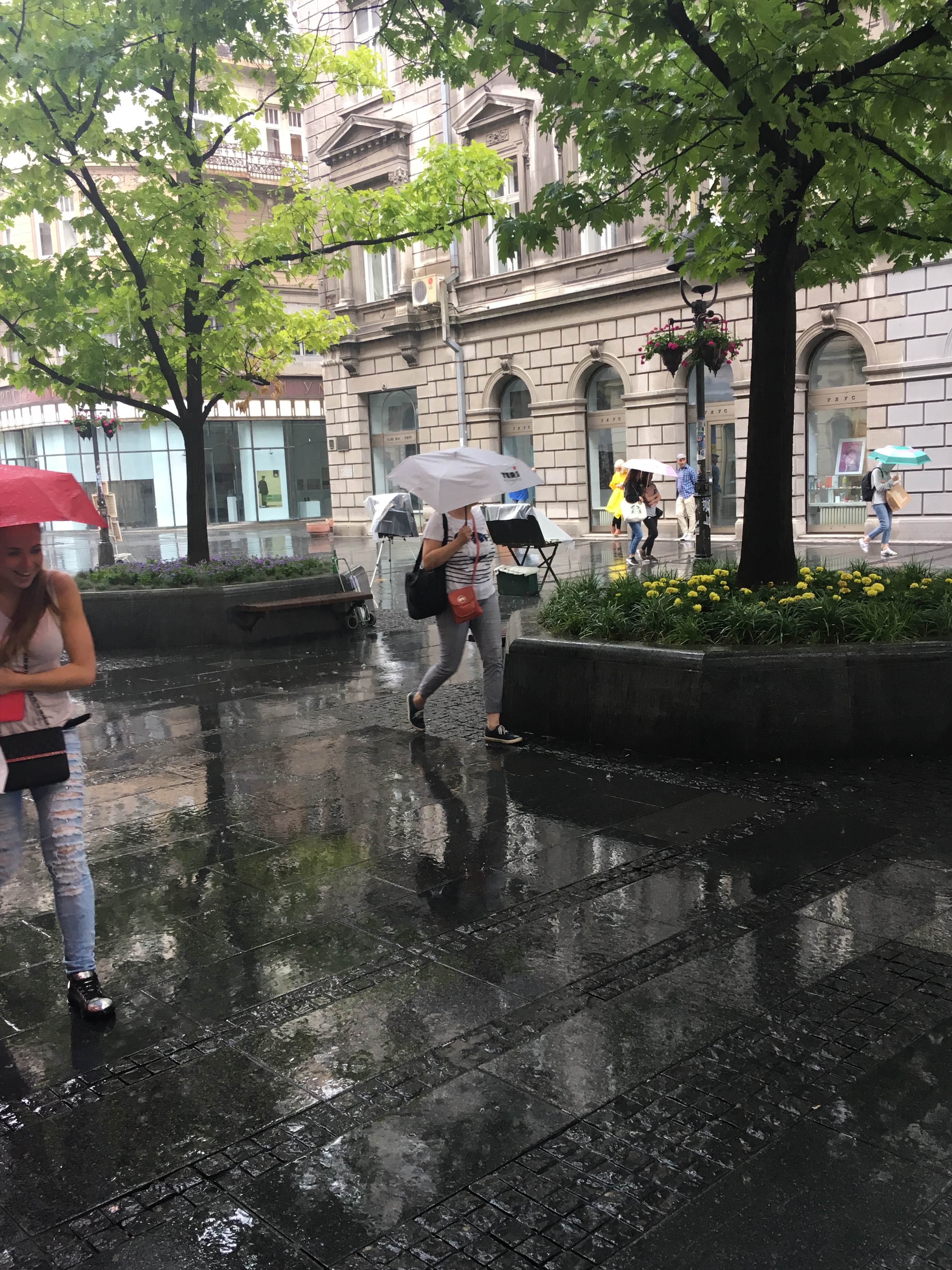 Rainy Day In Belgrade Kisni Dan U Beogradu Steemit