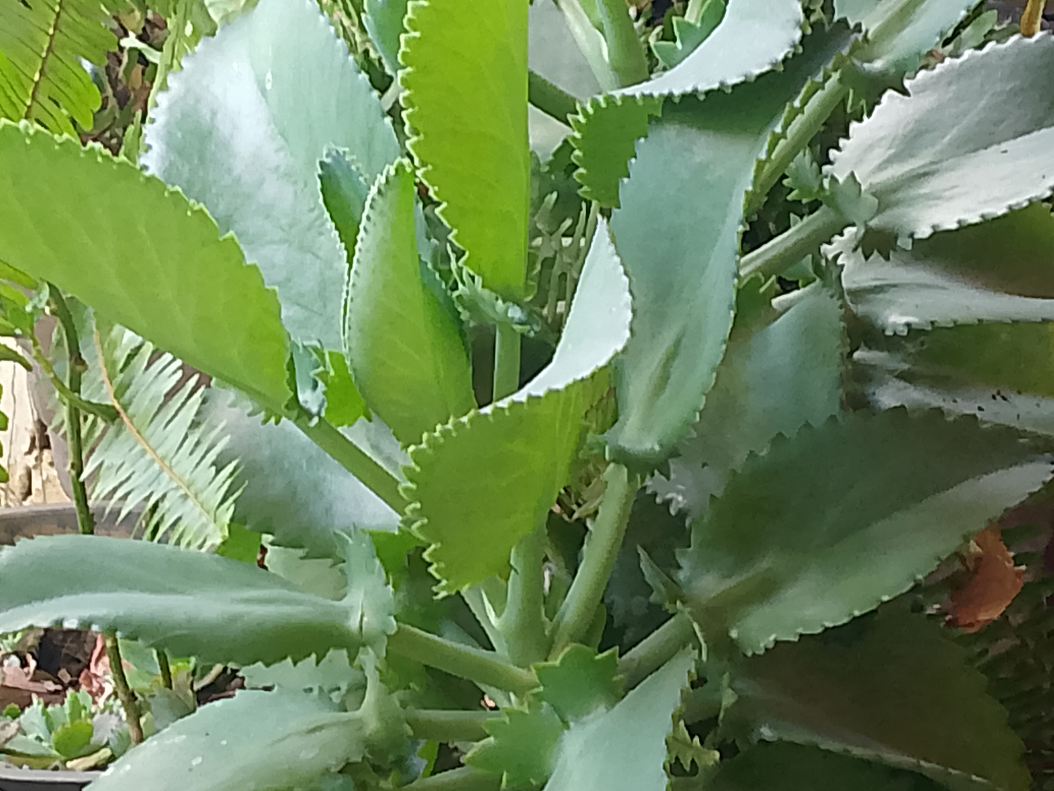 FotoGrid_20260319_155929013.jpg