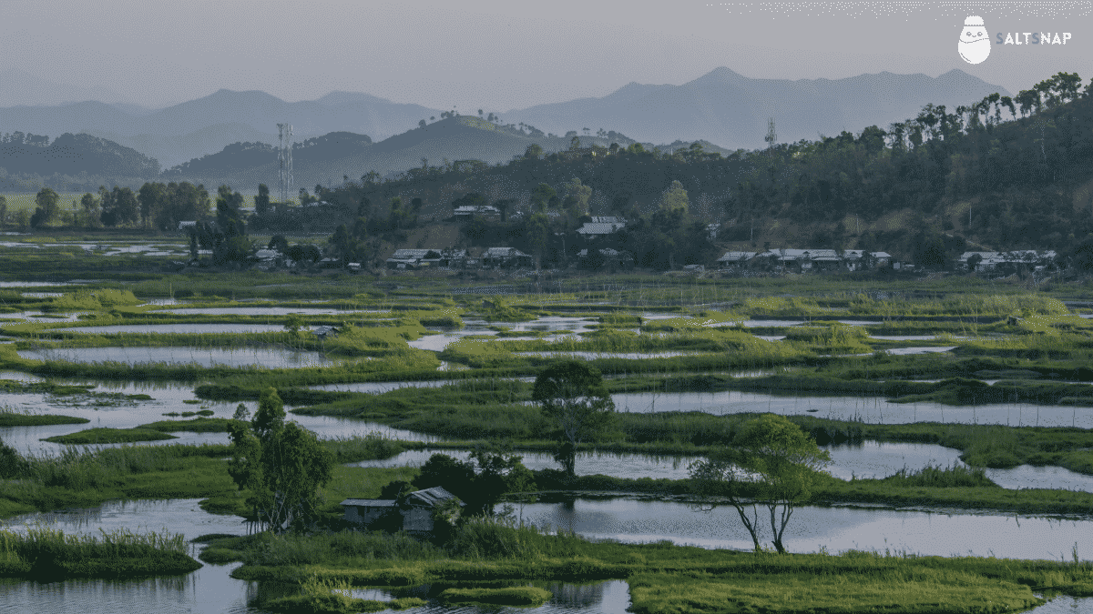 loktak-lake-floating-lake-manipur-india.png