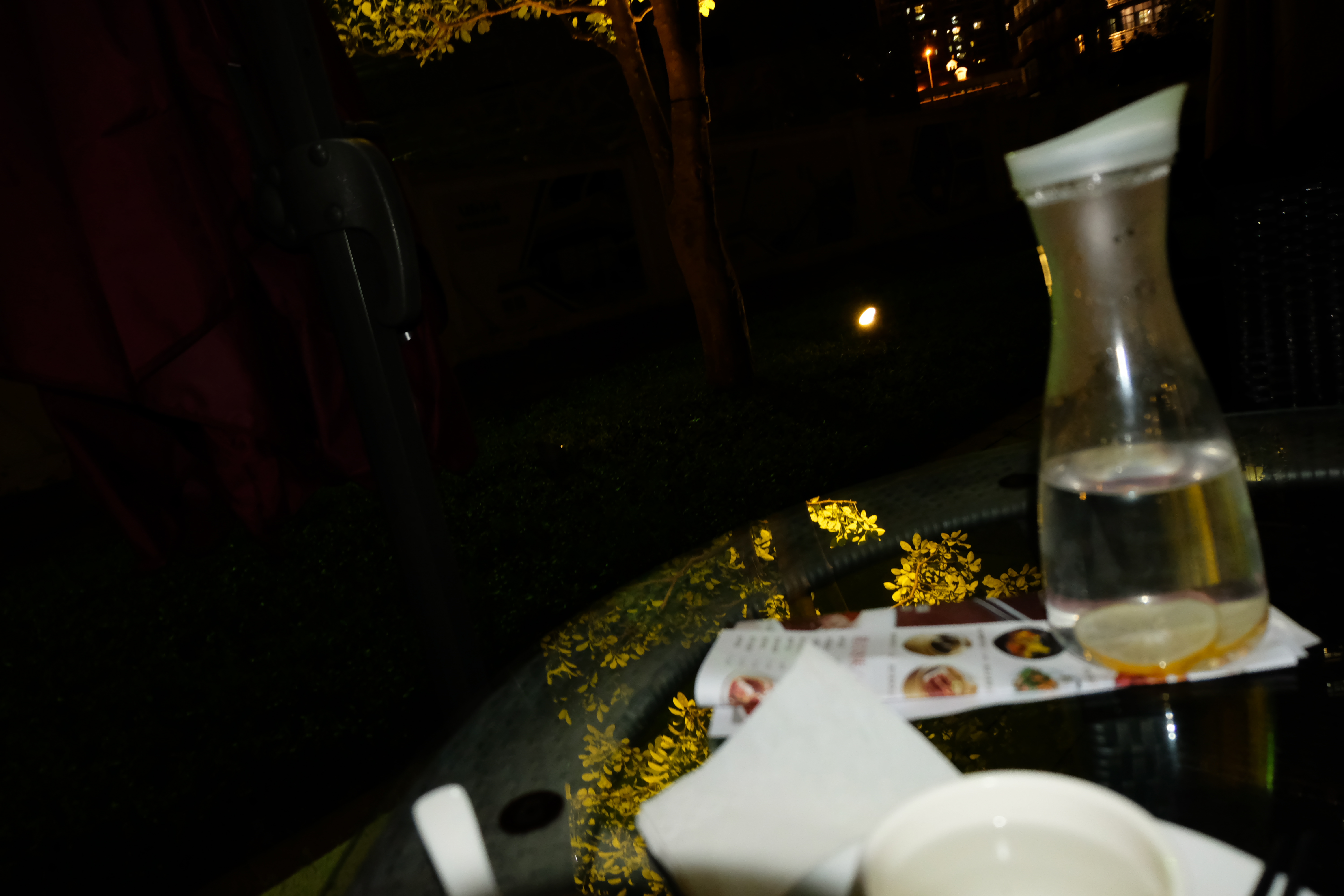 DSCF0761.jpg