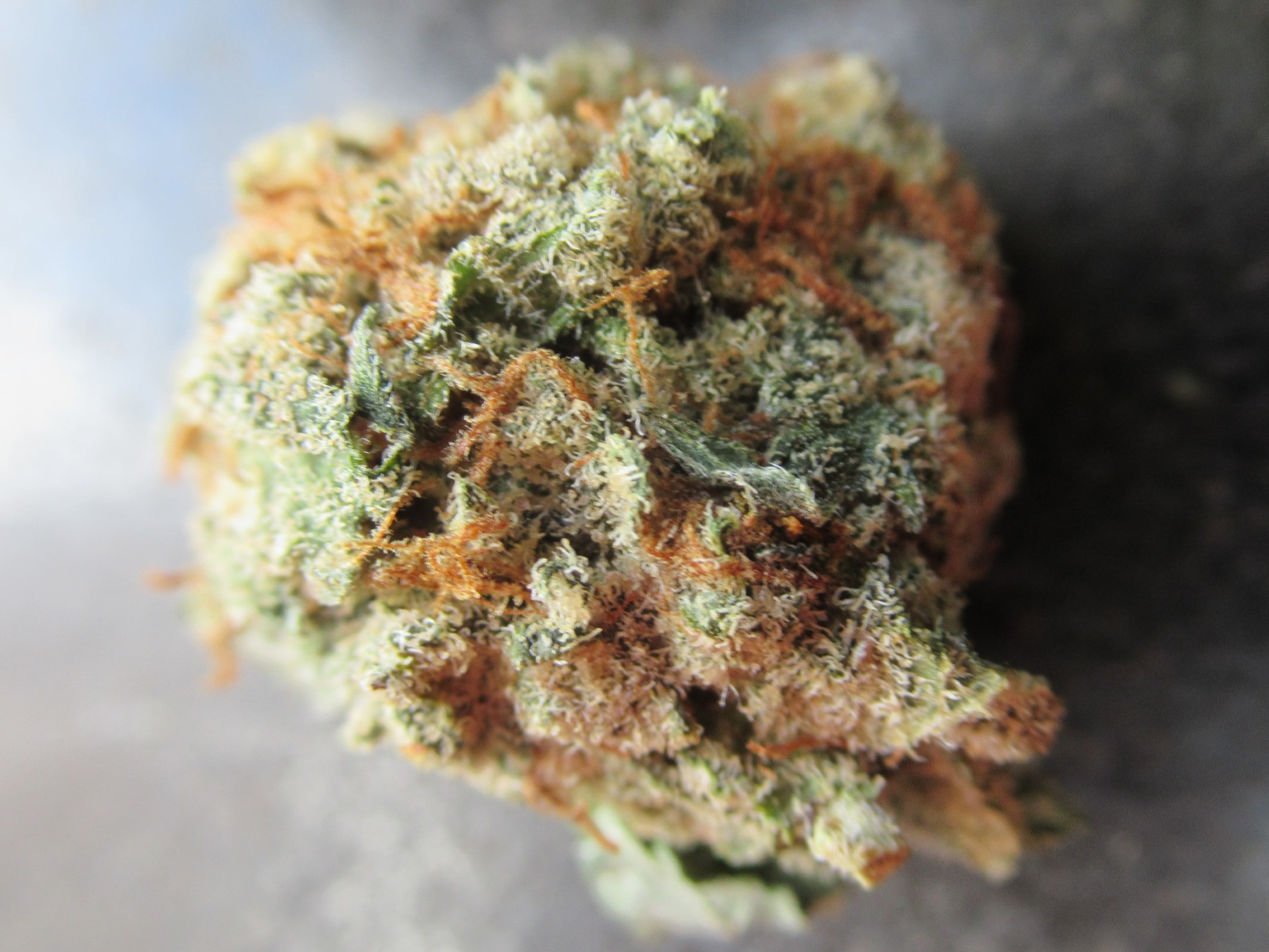 fullnugtopshines.jpg