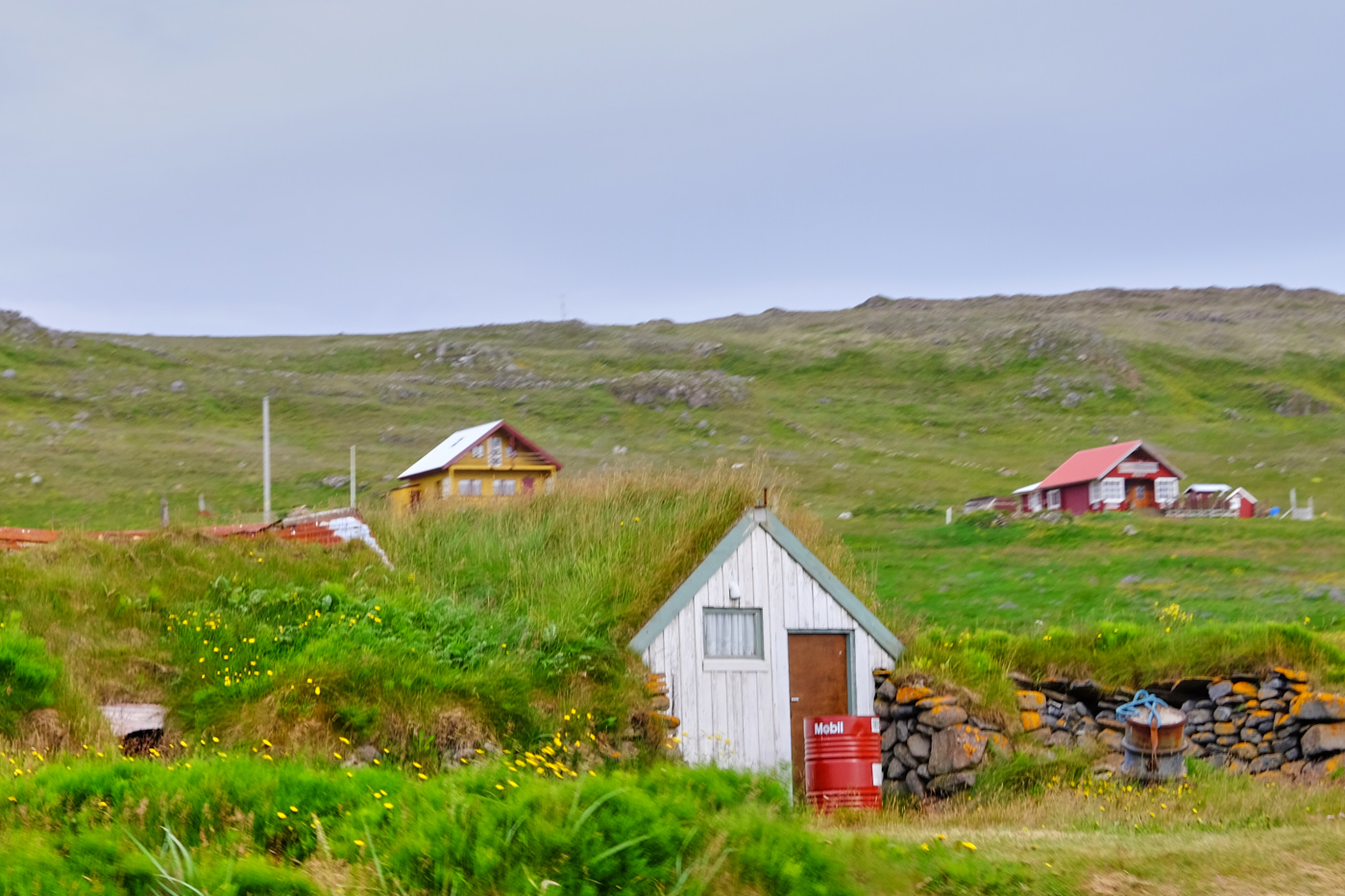DSCF4618.jpg
