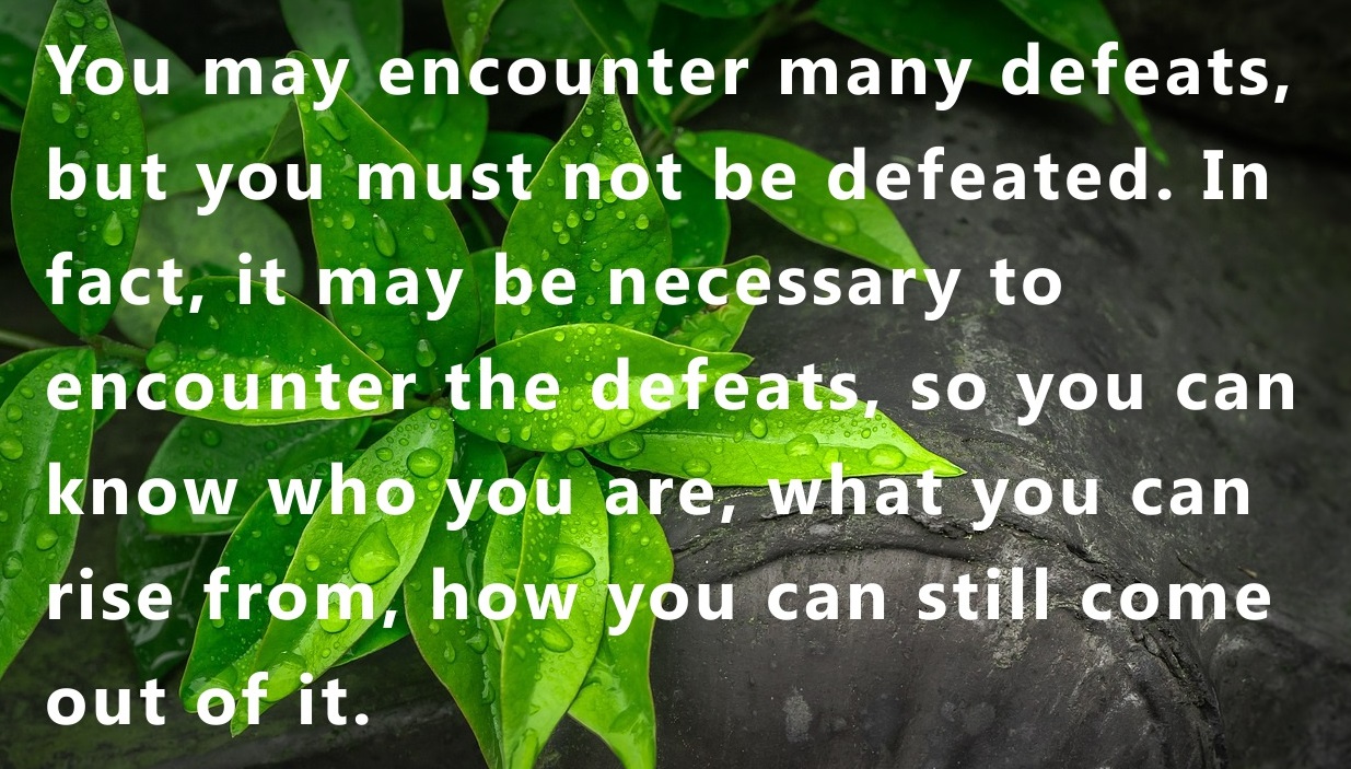Perseverance-Quotes-Never-Giveup-1584.jpeg