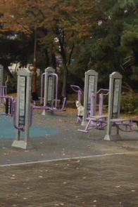 011158259089086cf2243406.gif