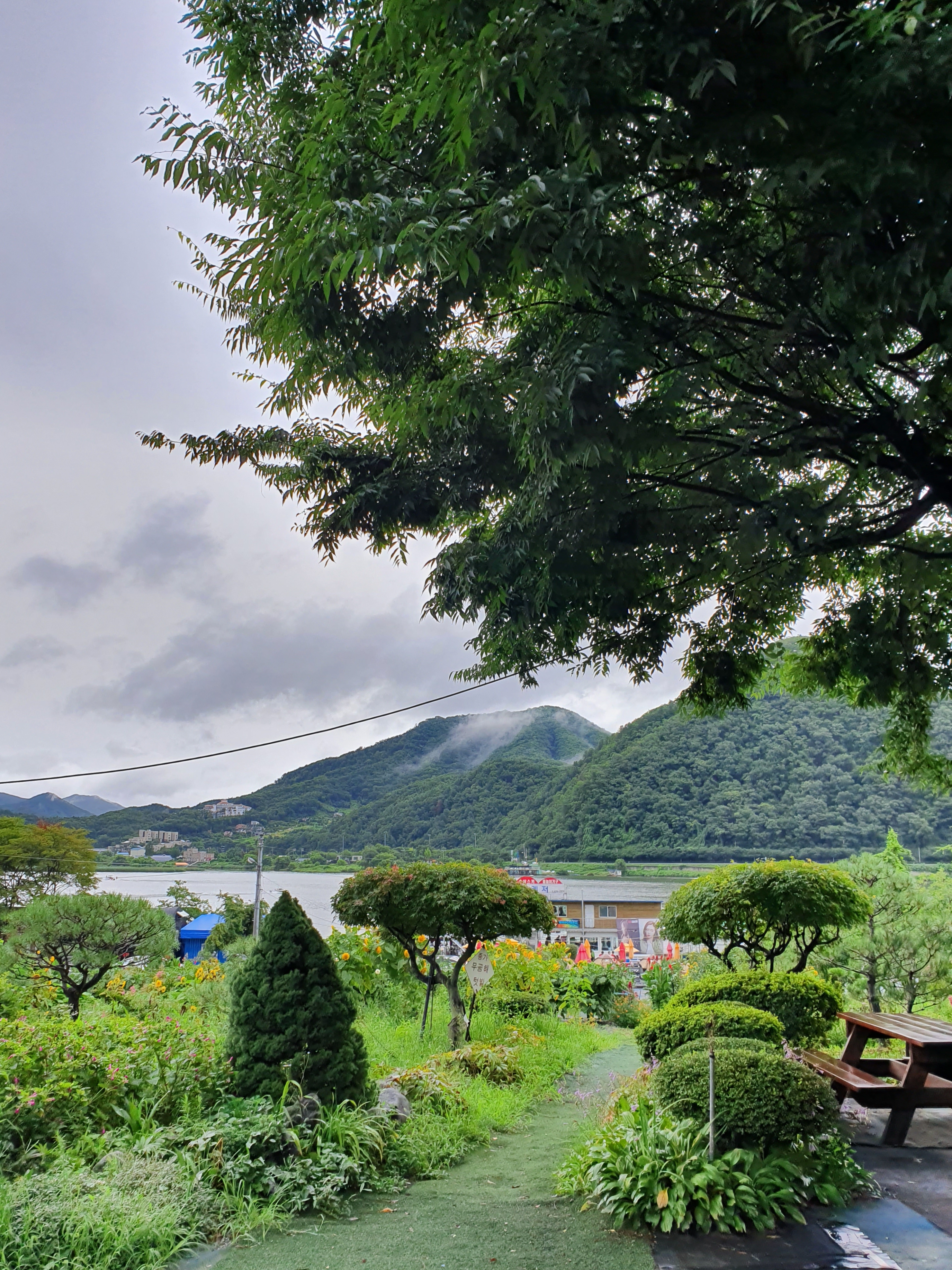 20190820_083425.jpg