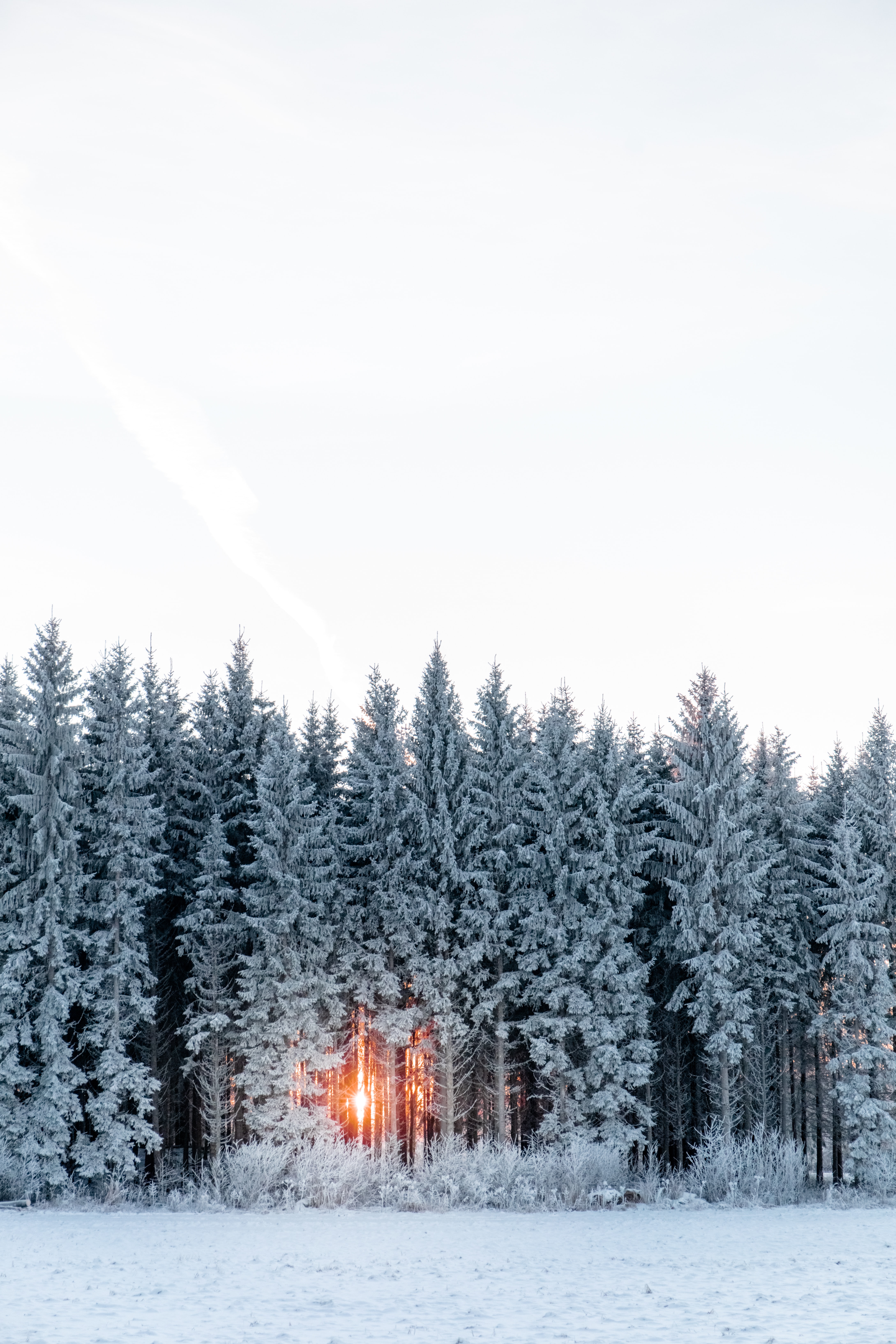 stories-tnsLpCJF0hI-unsplash.jpg