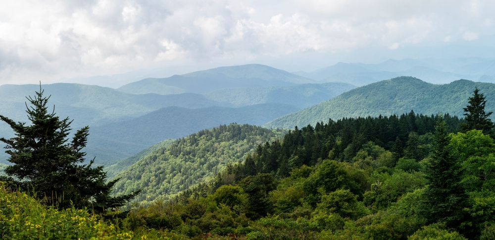 shutterstock_2250122491.jpg