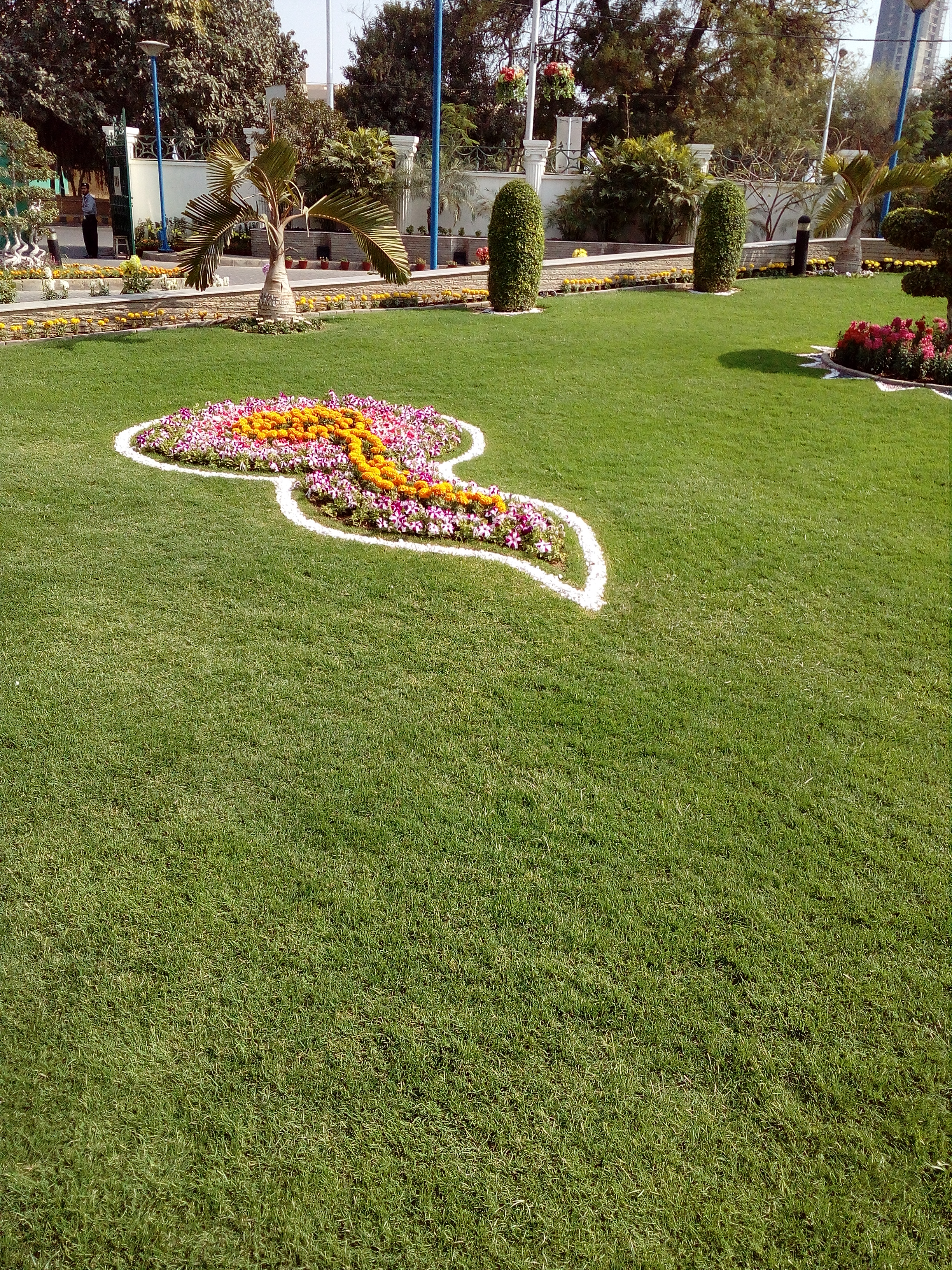 IMG_20200223_145653.jpg