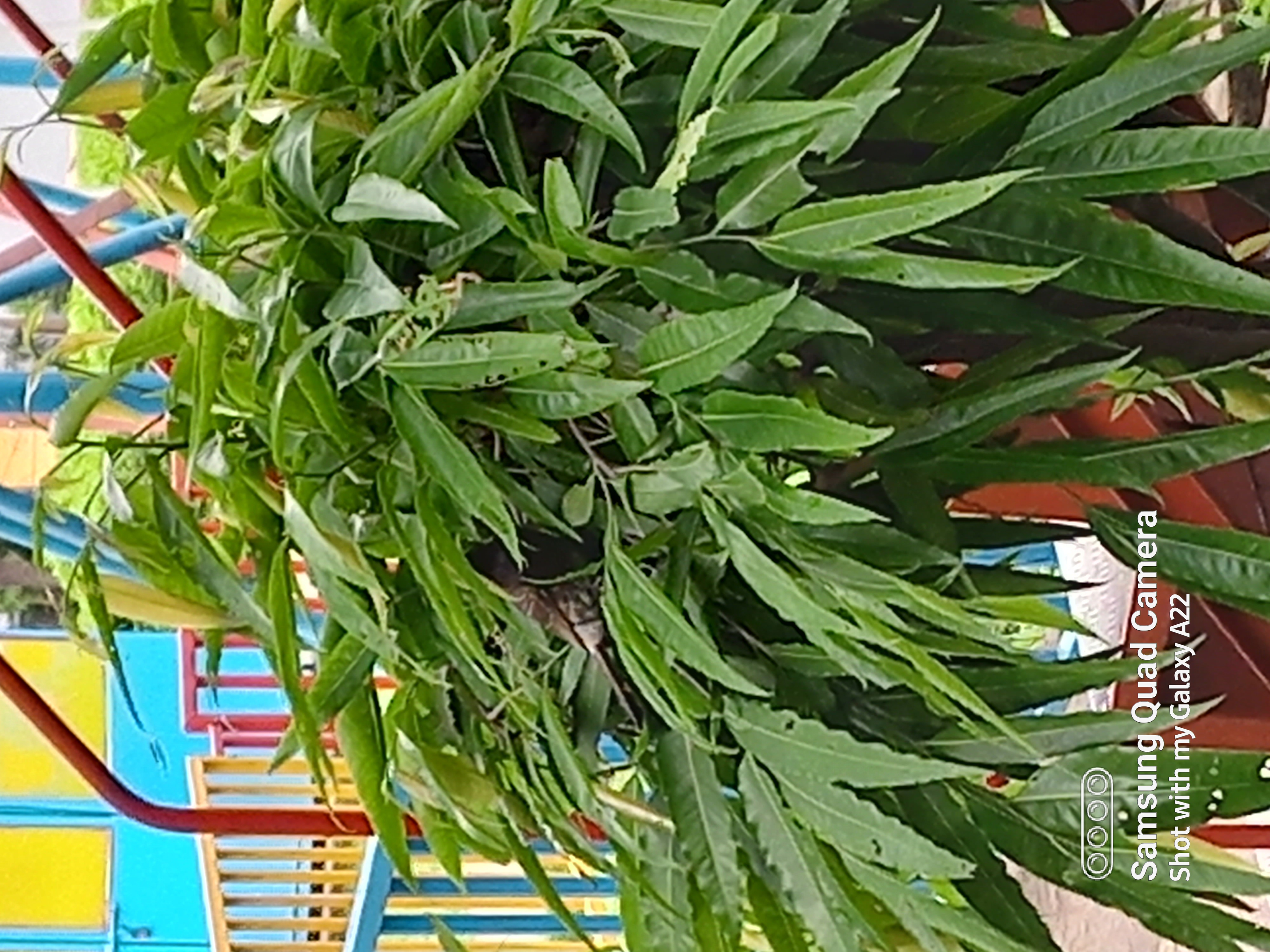 20220513_074835.jpg