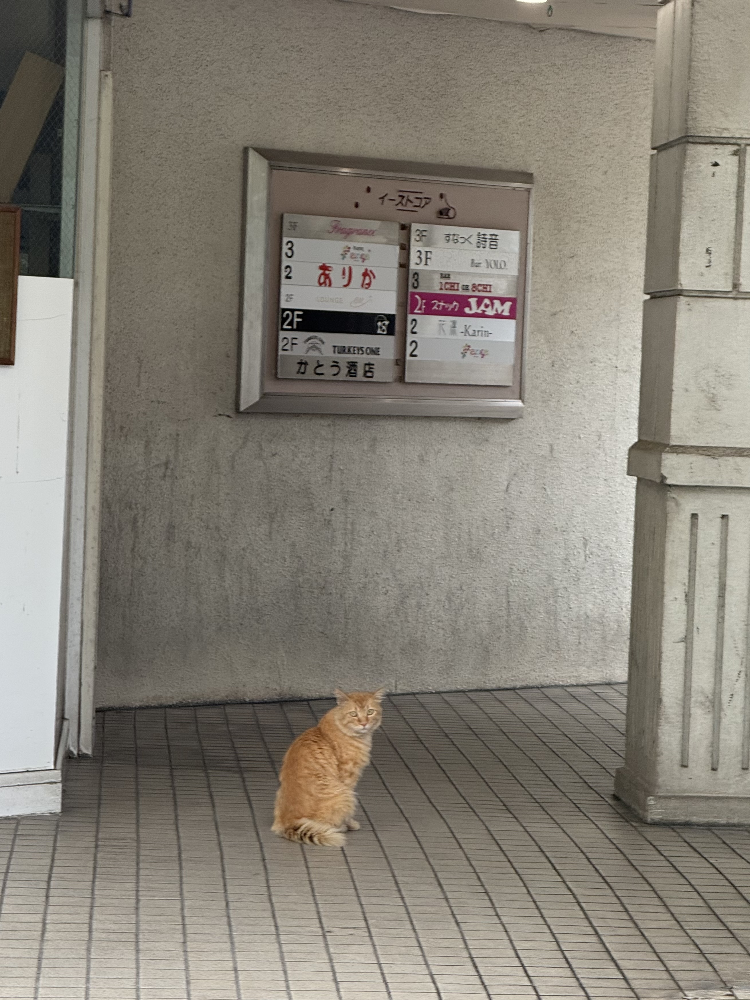 IMG_3659.jpeg