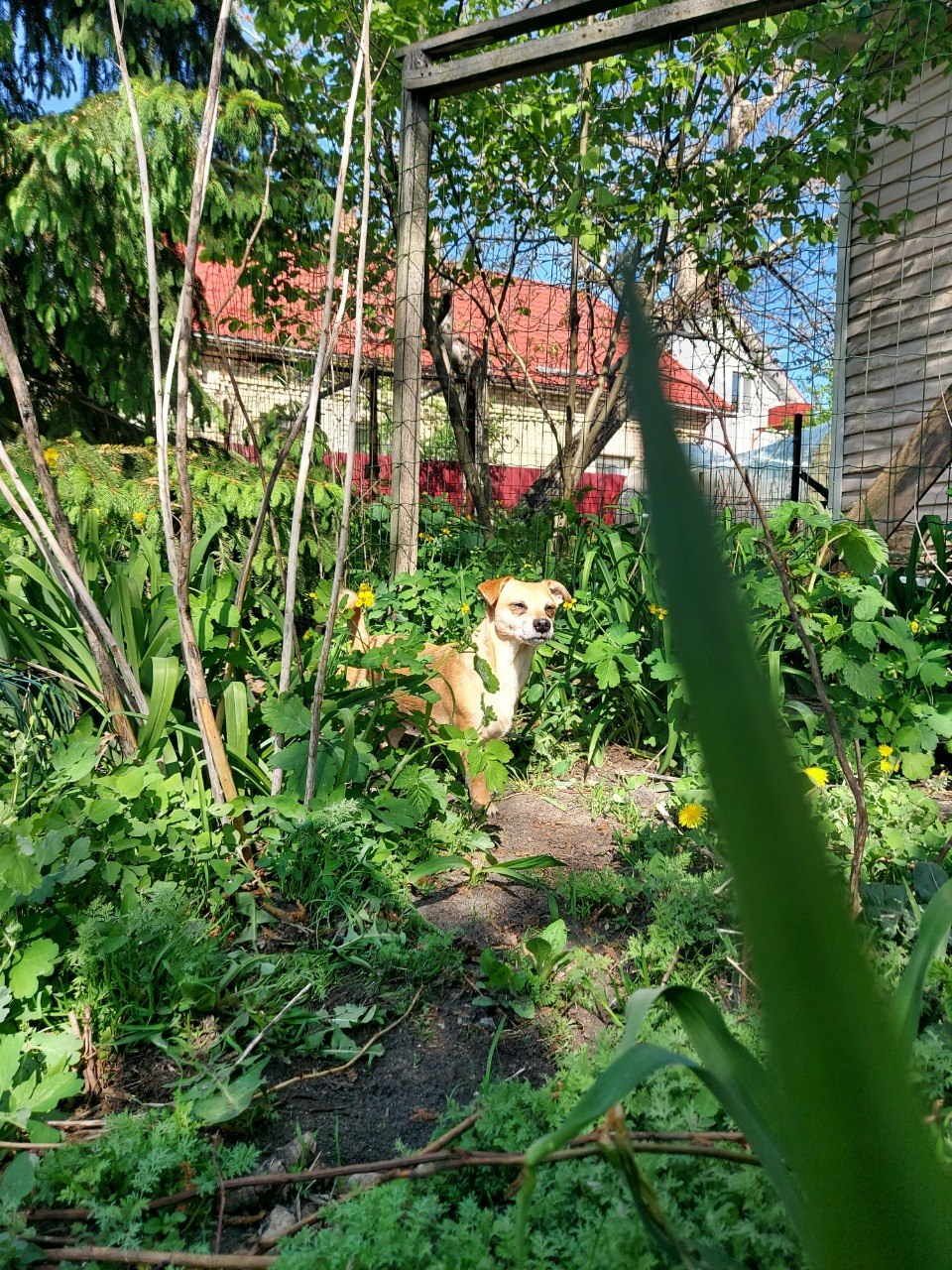 IMG_5434.jpeg