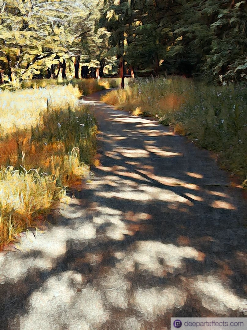 IMG-PHOTO-ART-463882454.jpg