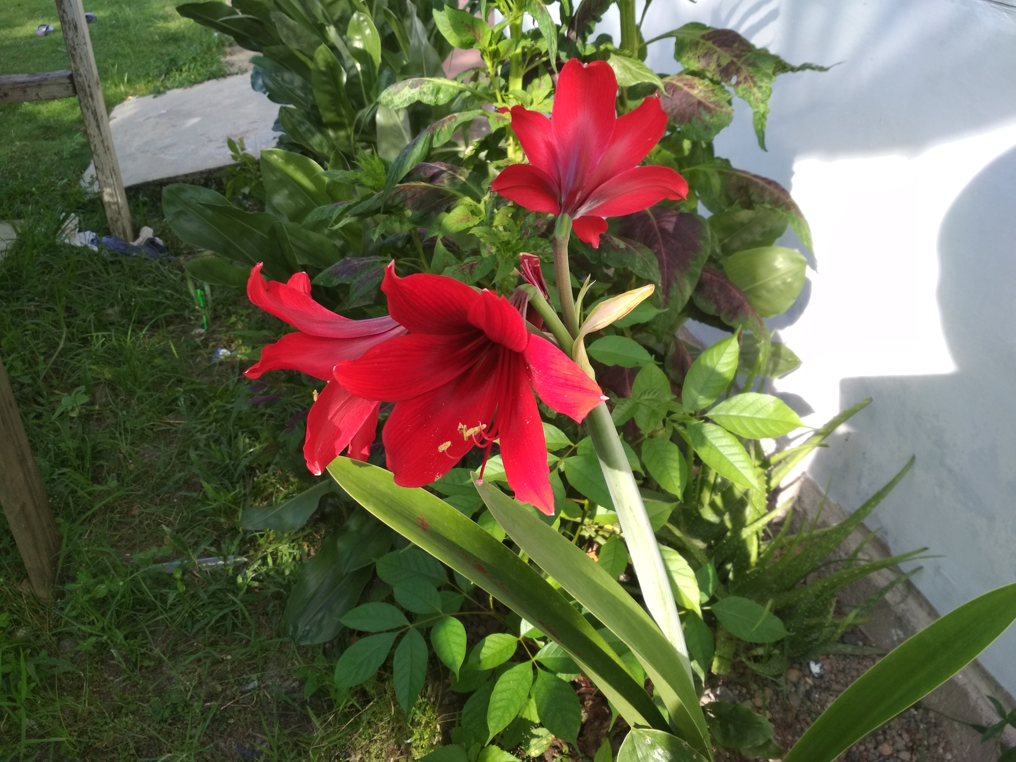 IMG_20180921_162006.jpg