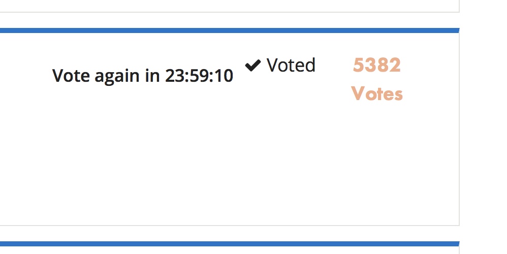 vote2.jpeg