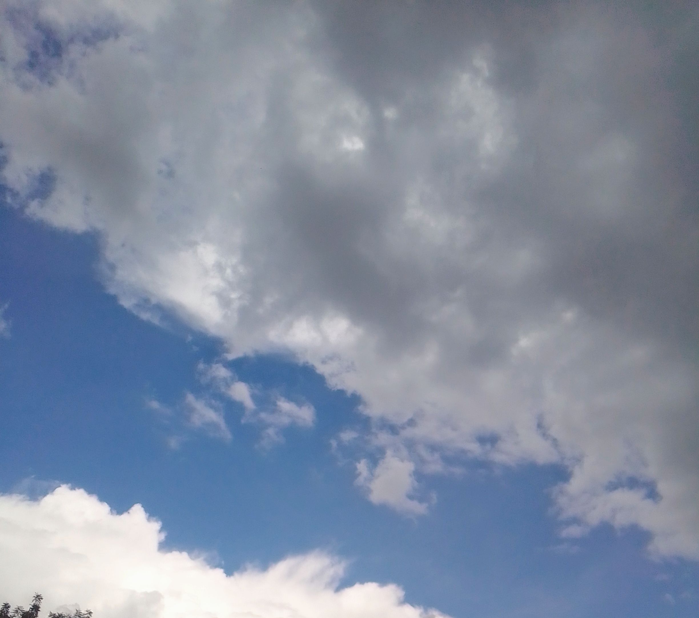 IMG_20210929_133831~2.jpg