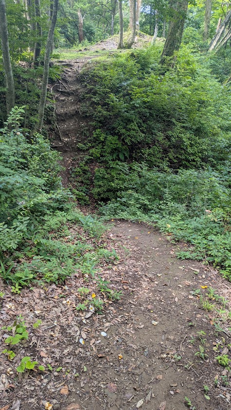 PXL_20260703_234747651.jpg