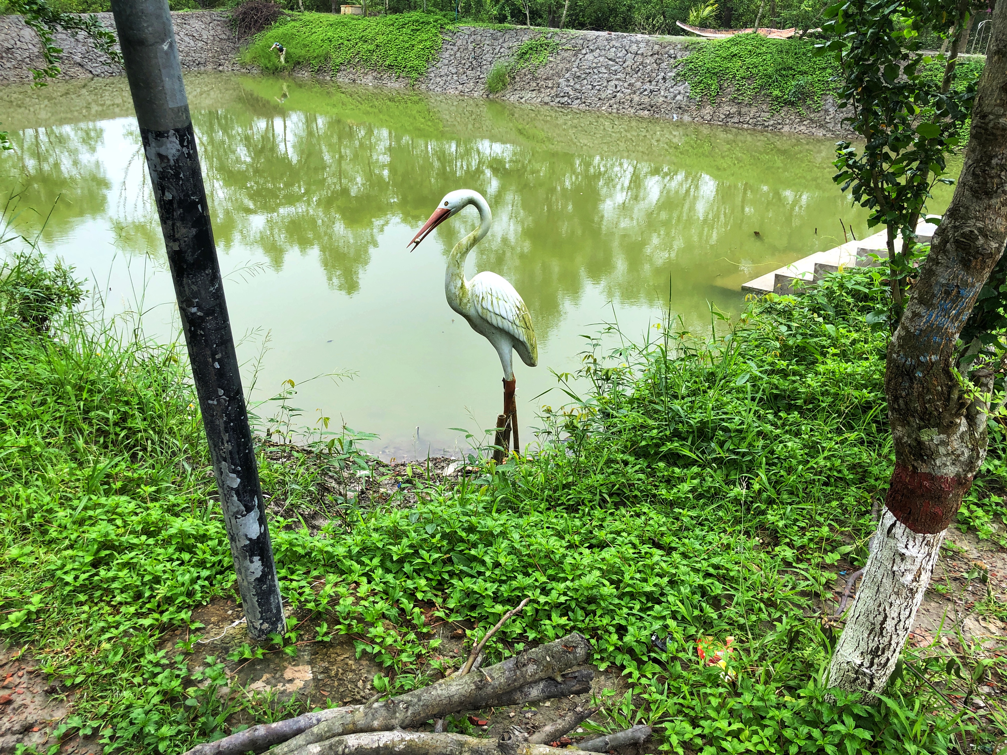 IMG_8783-01.jpeg