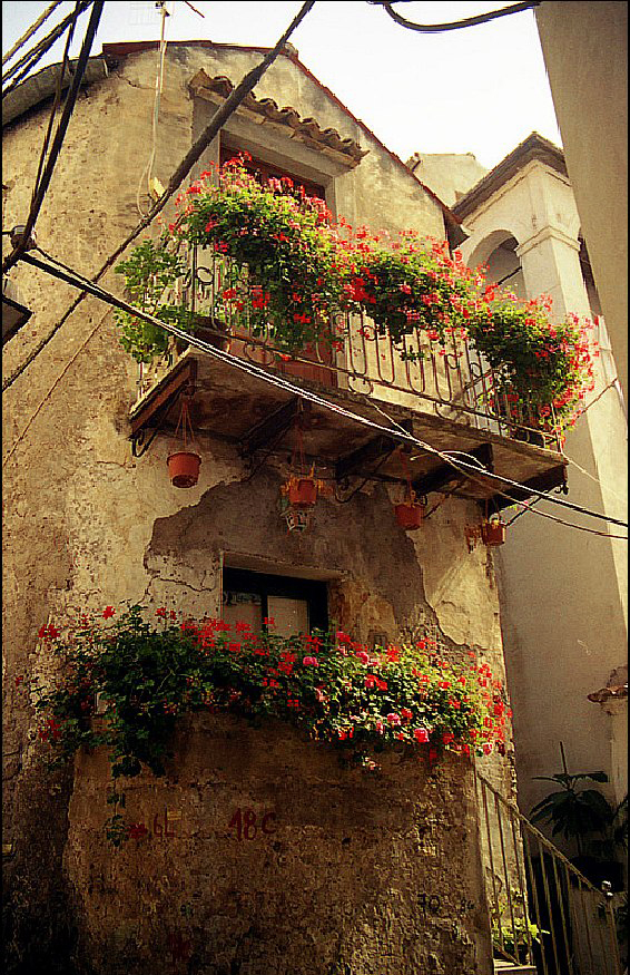 Ravello 7.jpg