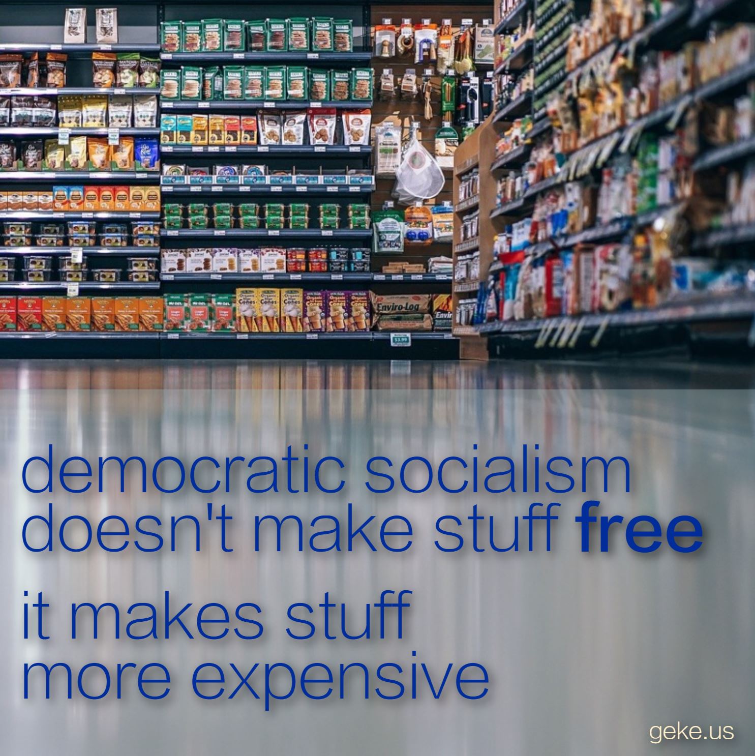 demsoc.JPG
