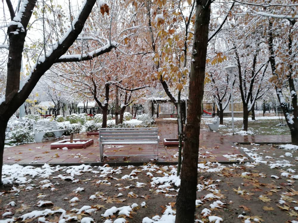 imagepark123 (8).jpeg