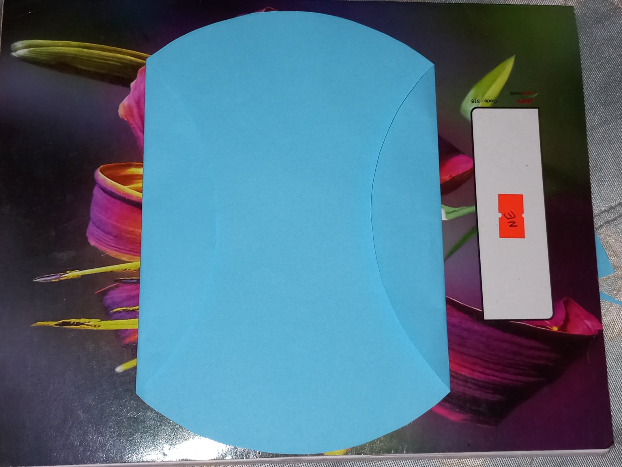 20250412_141214.jpg