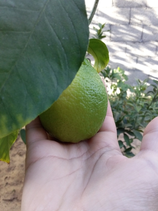 ٢٠١٩٠١١٥_٢١١٦١٢.jpg