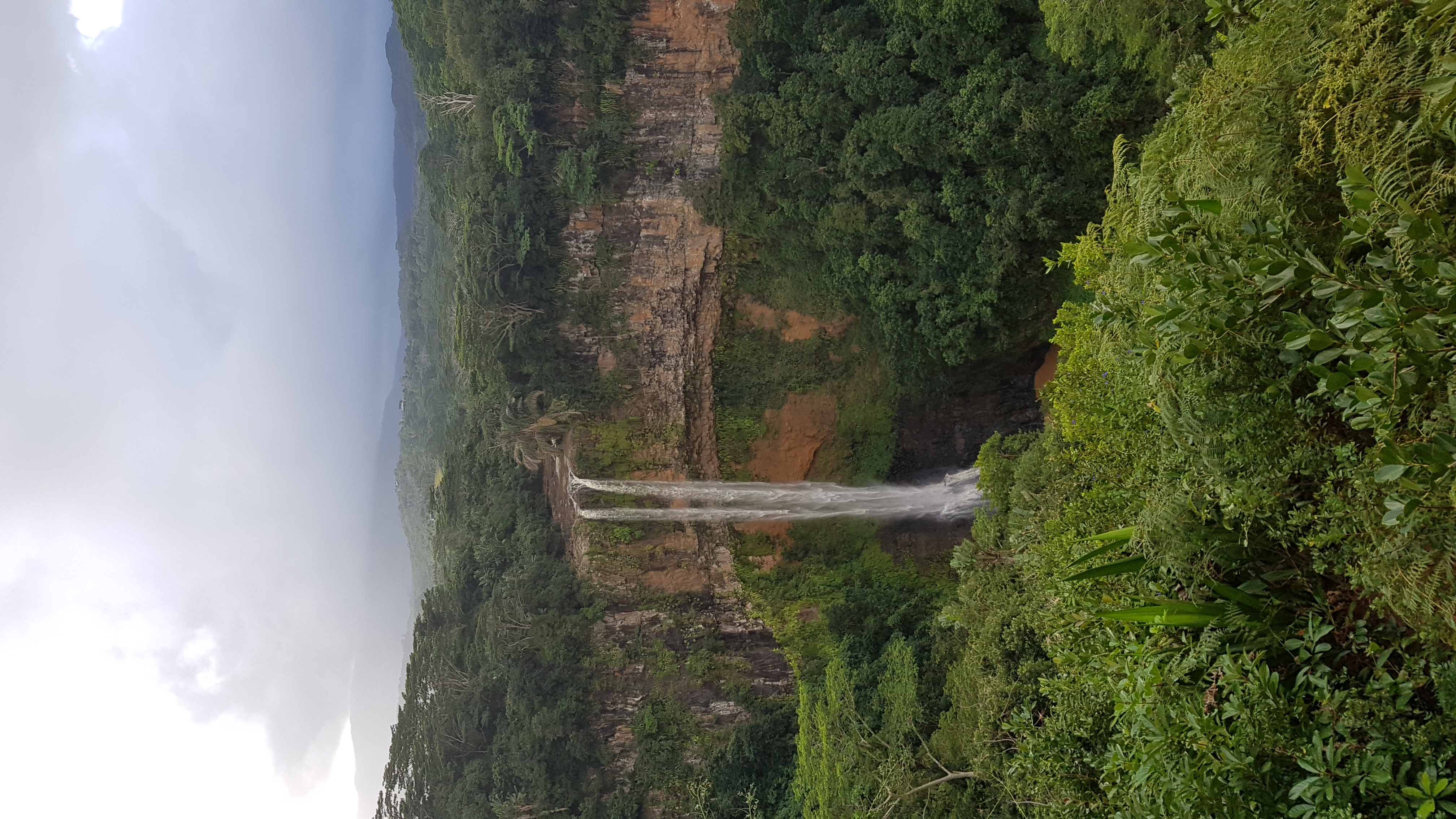 20180623_100602.jpg