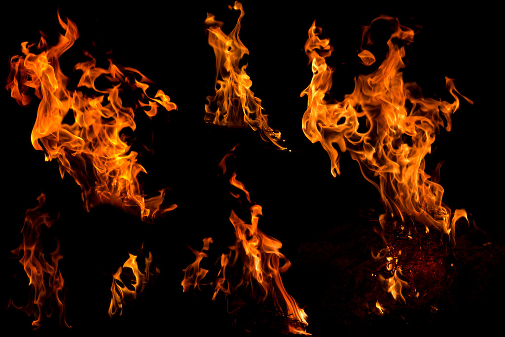 《飞鸟与夏花》每天一首自译飞鸟集（200/325） - Translate a poem form Stray Birds everyday