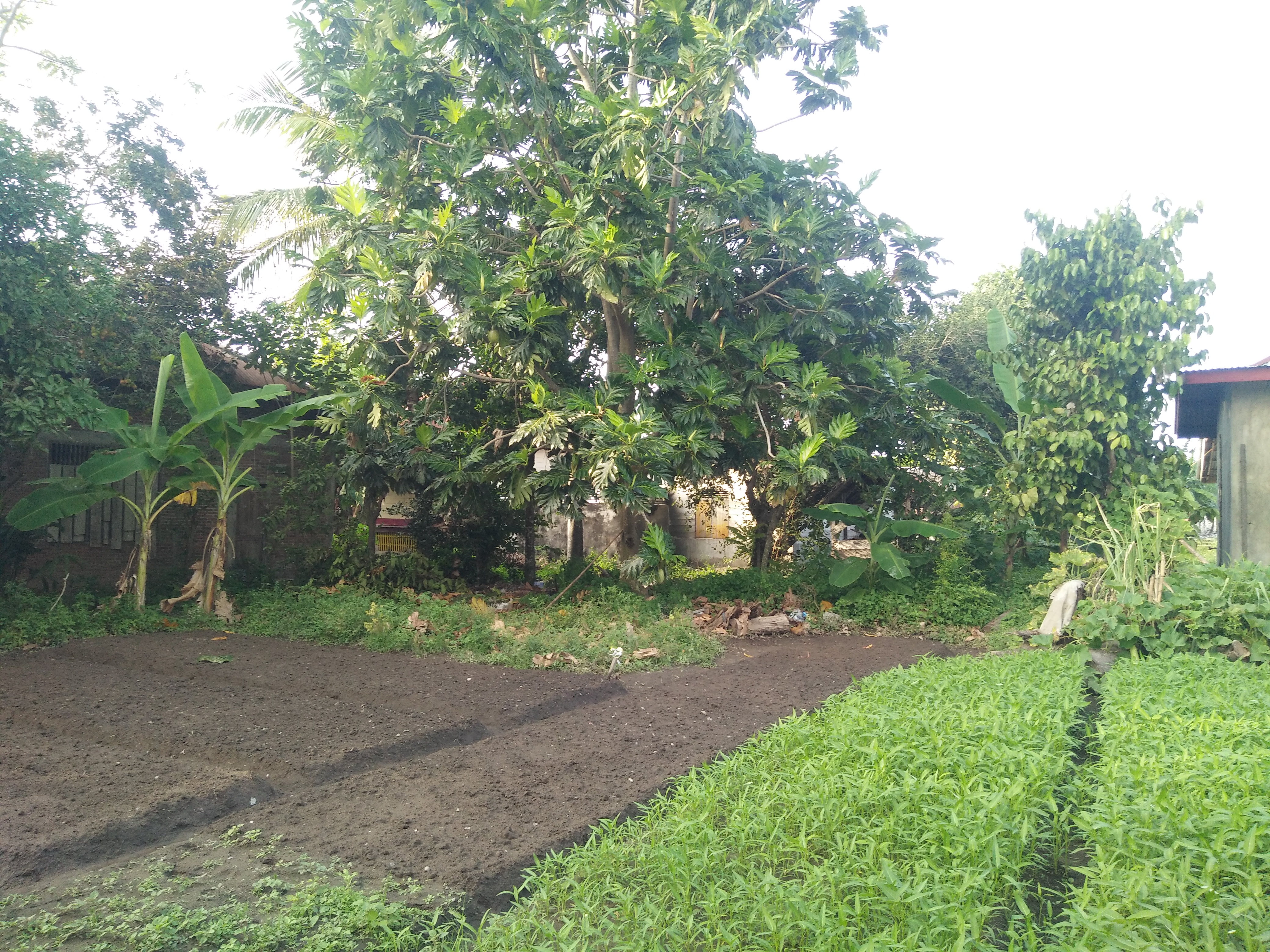 IMG20191204165623.jpg