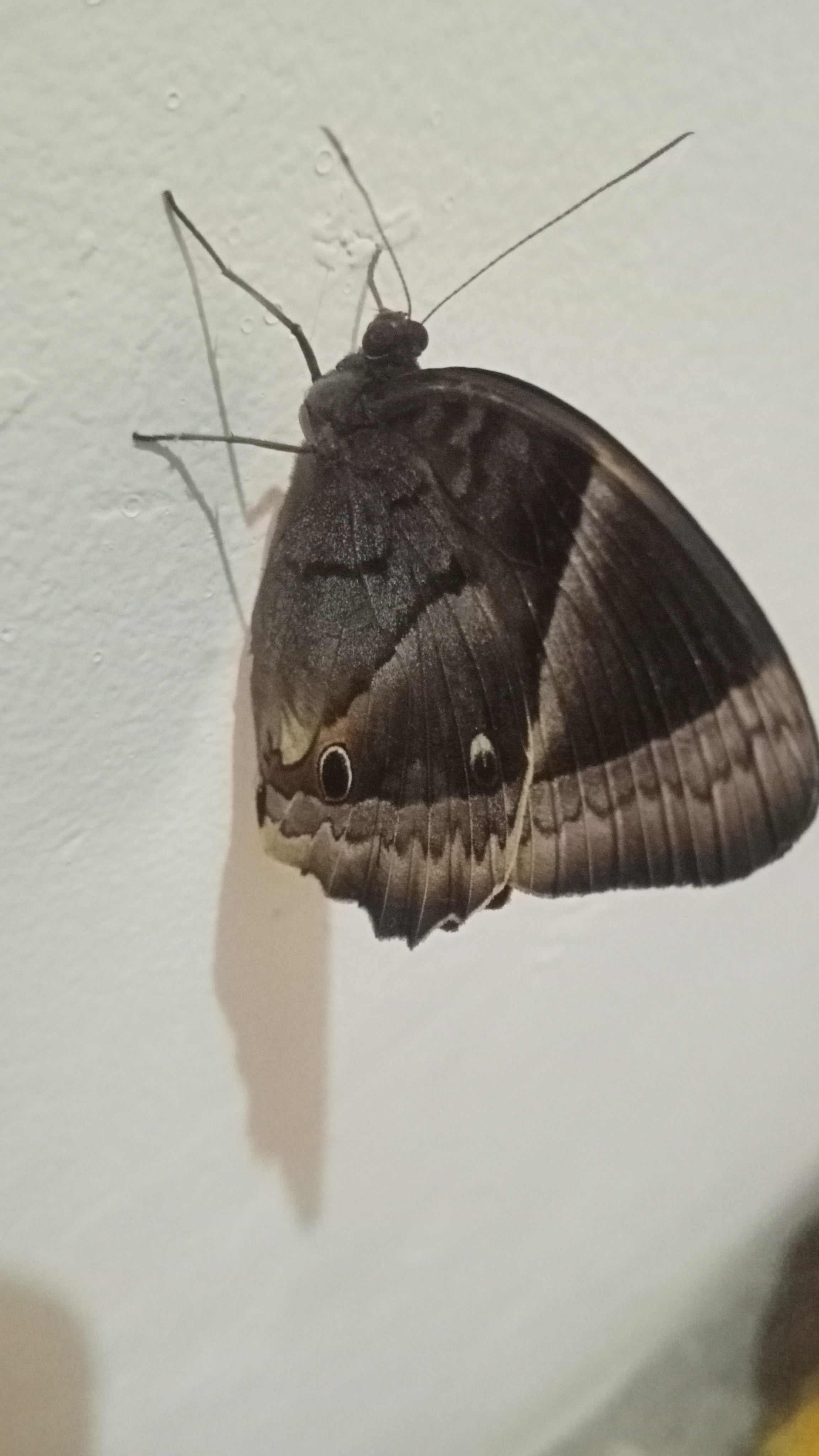 IMG20250531181939.jpg