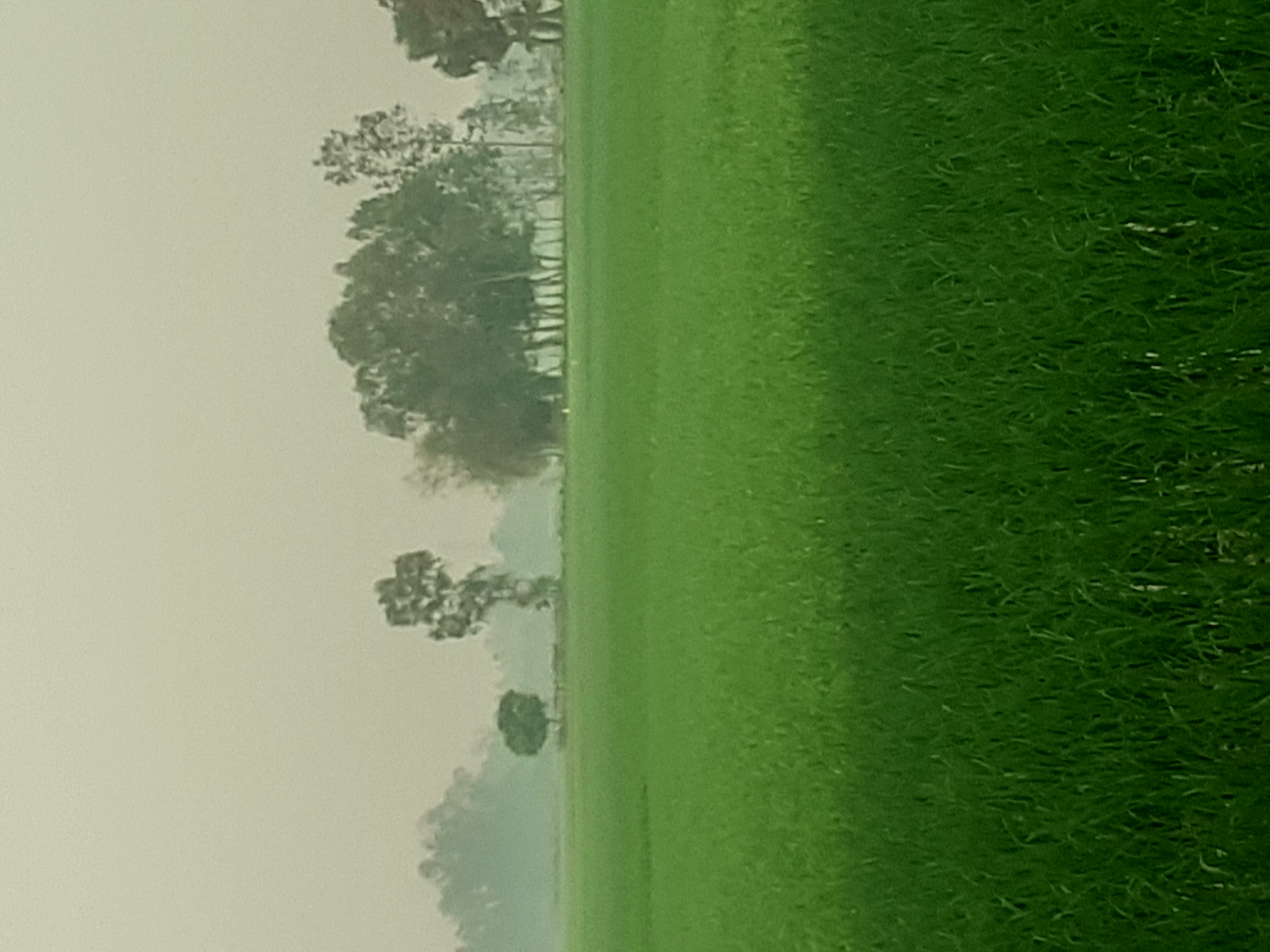 20260318_172408.jpg