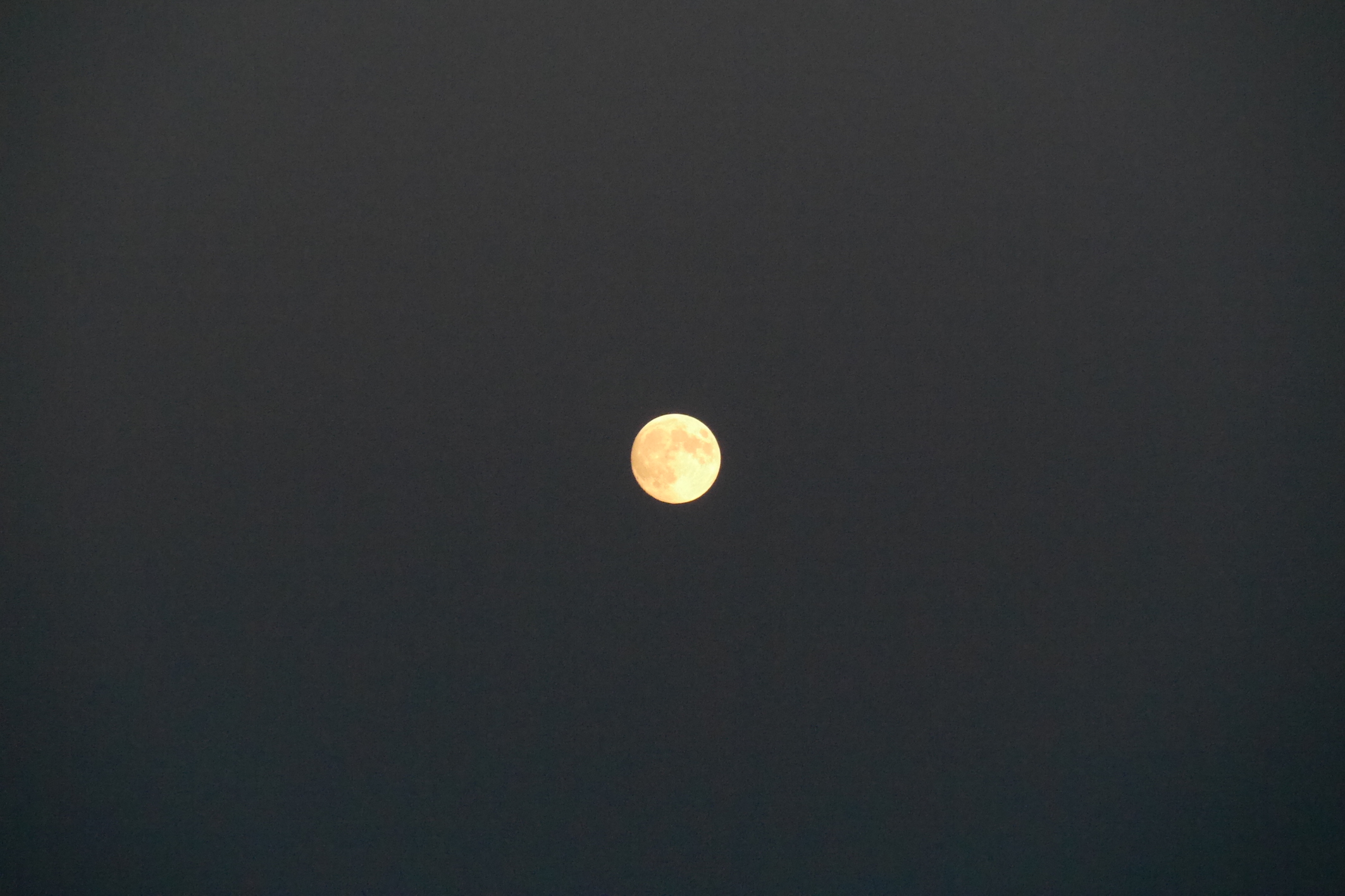 P1000877.JPG