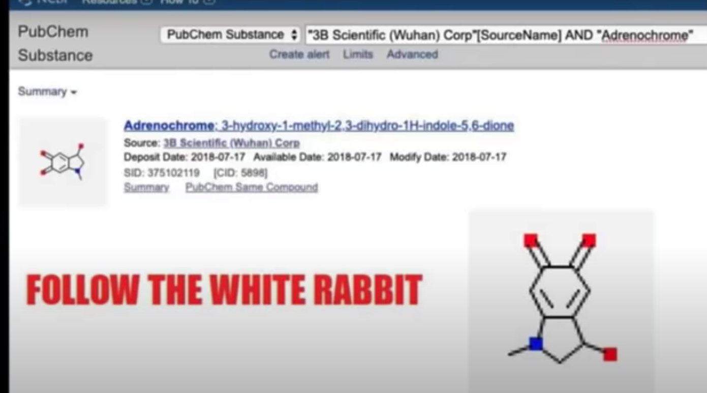 Screen Shot 2020-08-12 at 11.59.27 AM.png