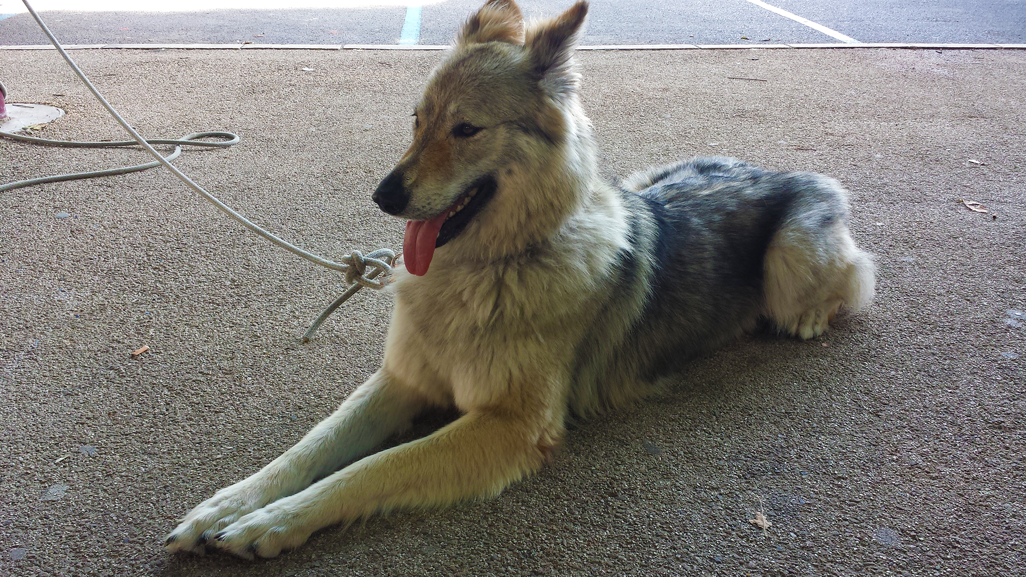 20140622_185344.jpg