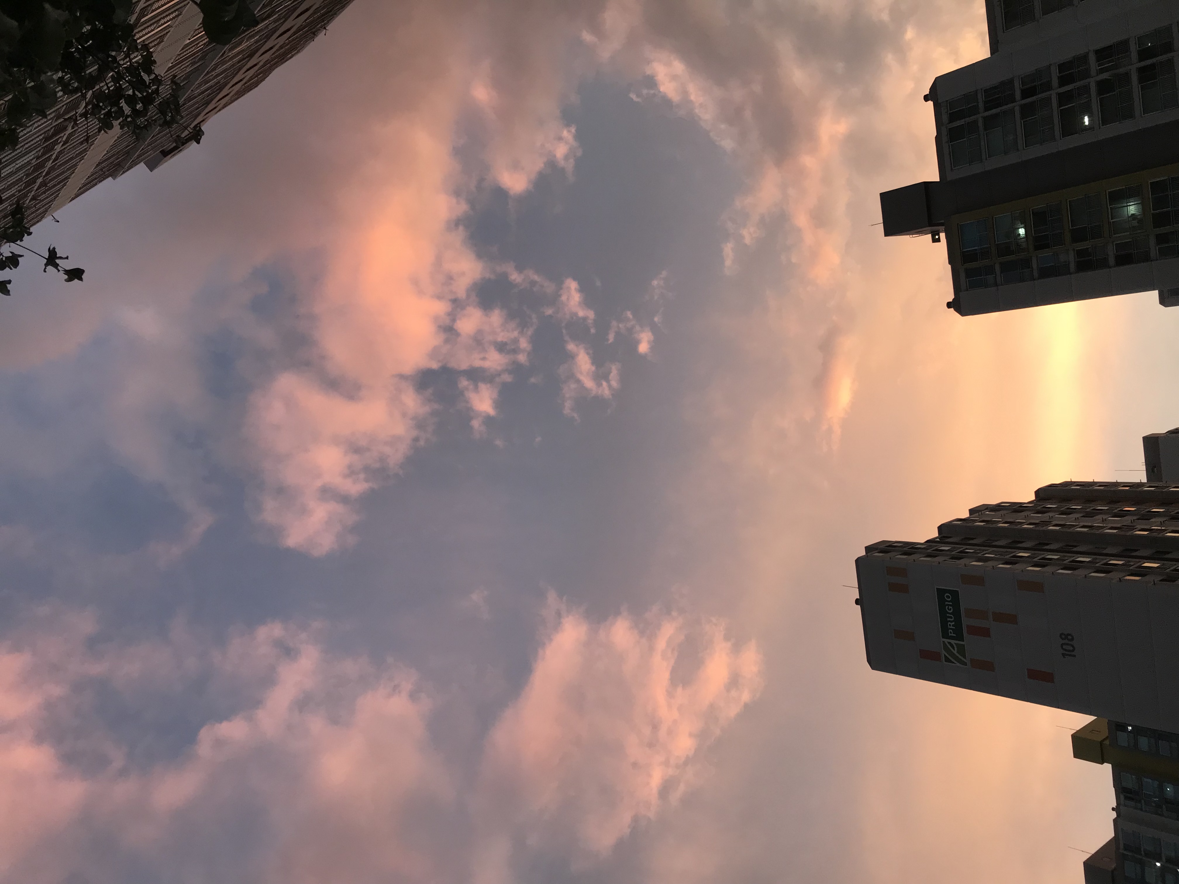 146C43D3-E56D-4C54-AD05-D7281588D2E7.jpeg