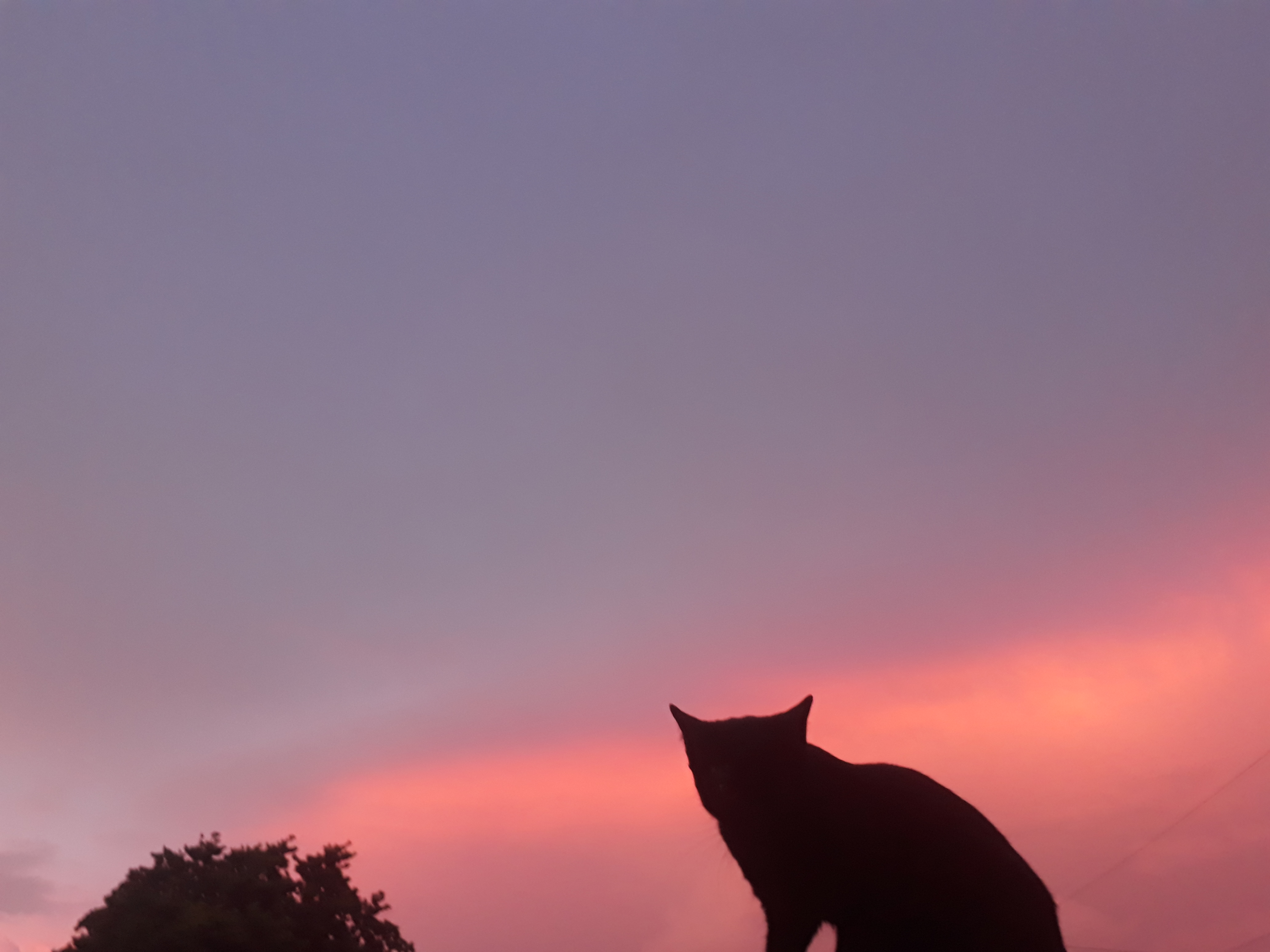 20180624_191909.jpg