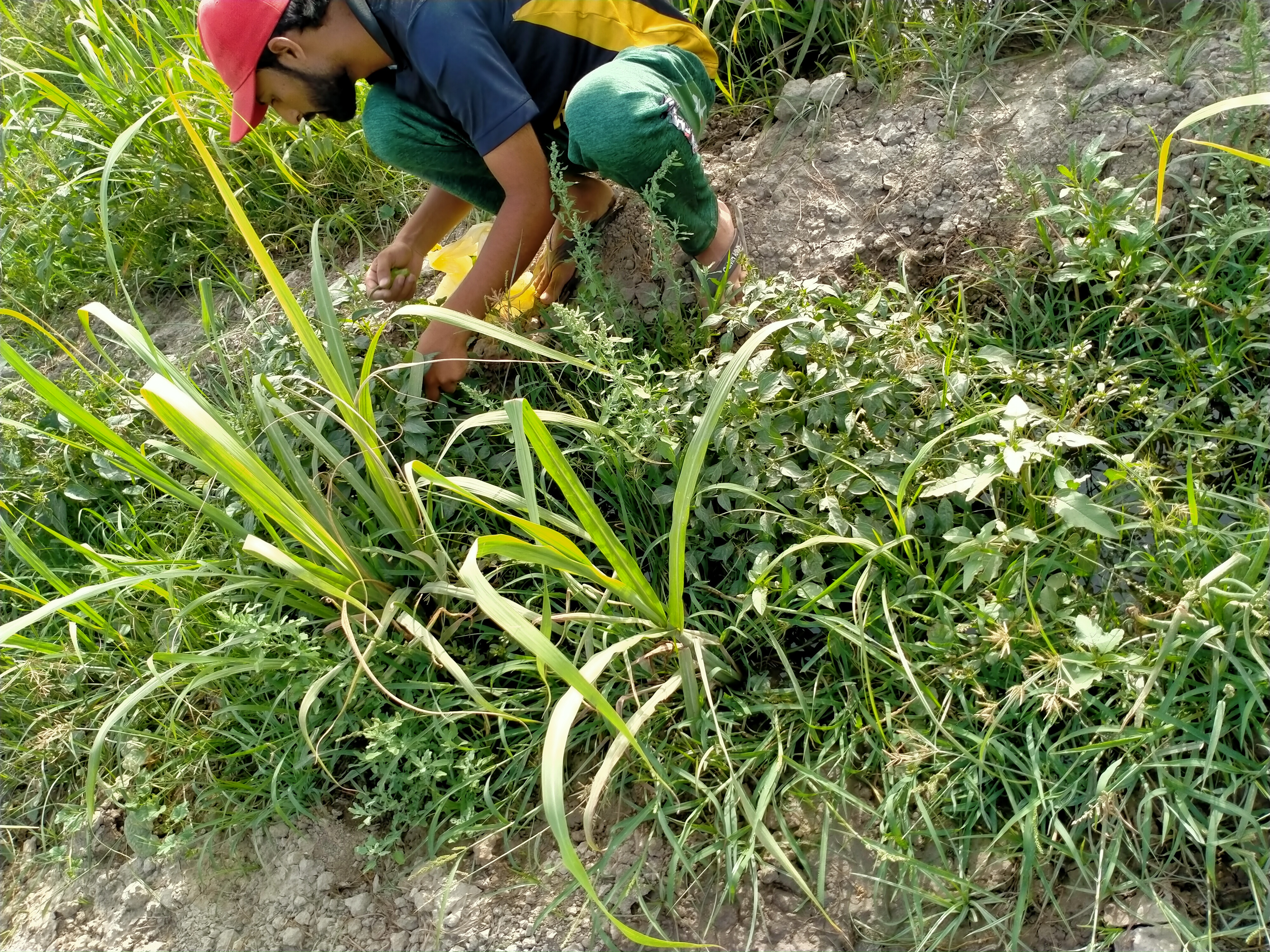 IMG20210529163547.jpg