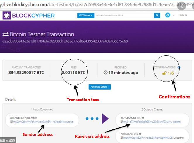 Blockcypher 1.png
