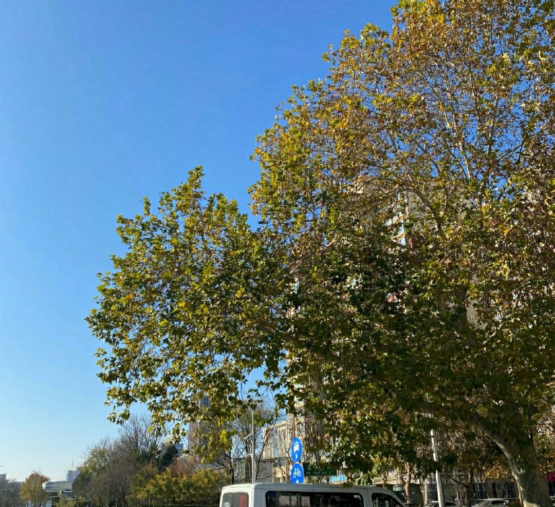 IMG_20260103_115043.jpg